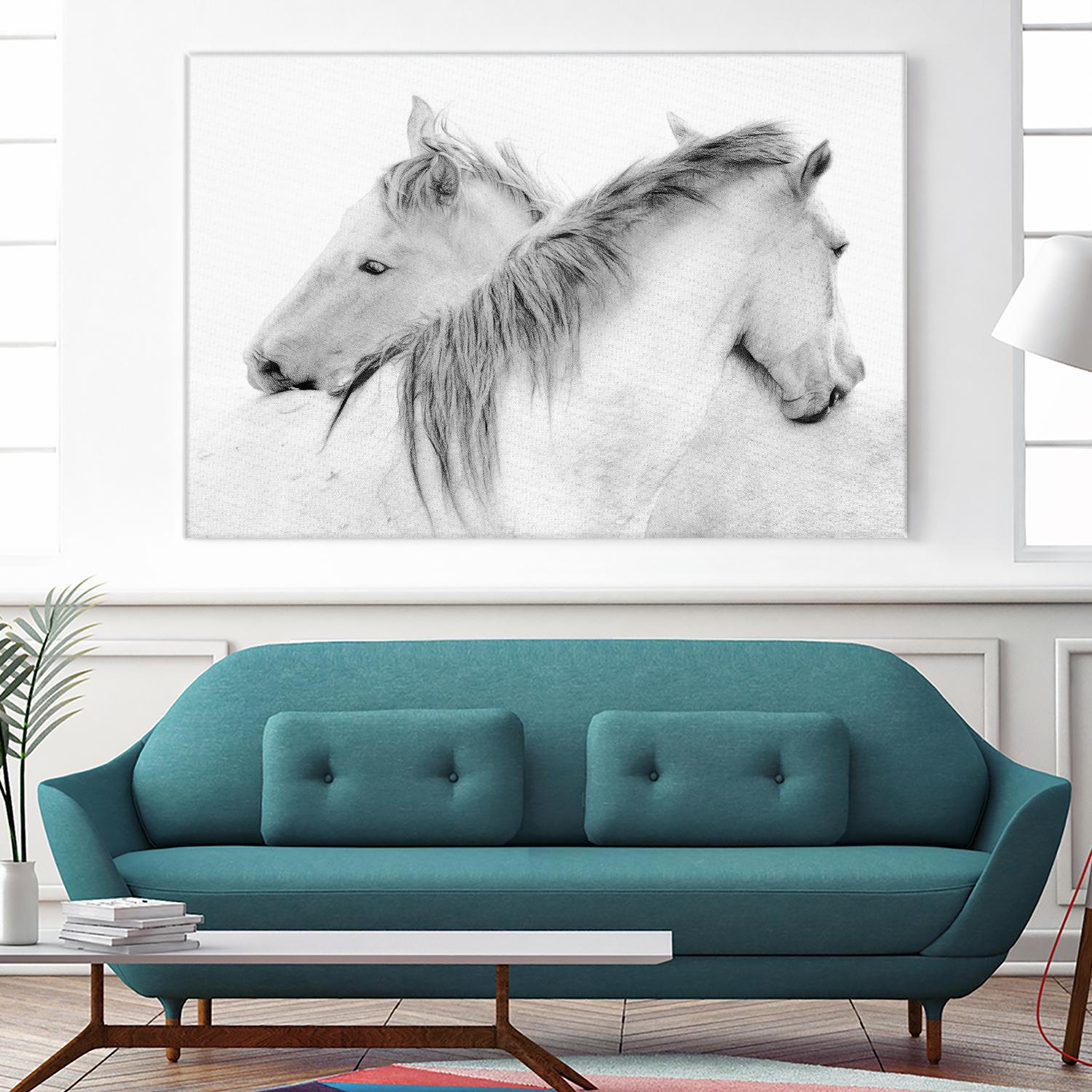 Stas - Horses by 1X on GIANT ART - white photo art