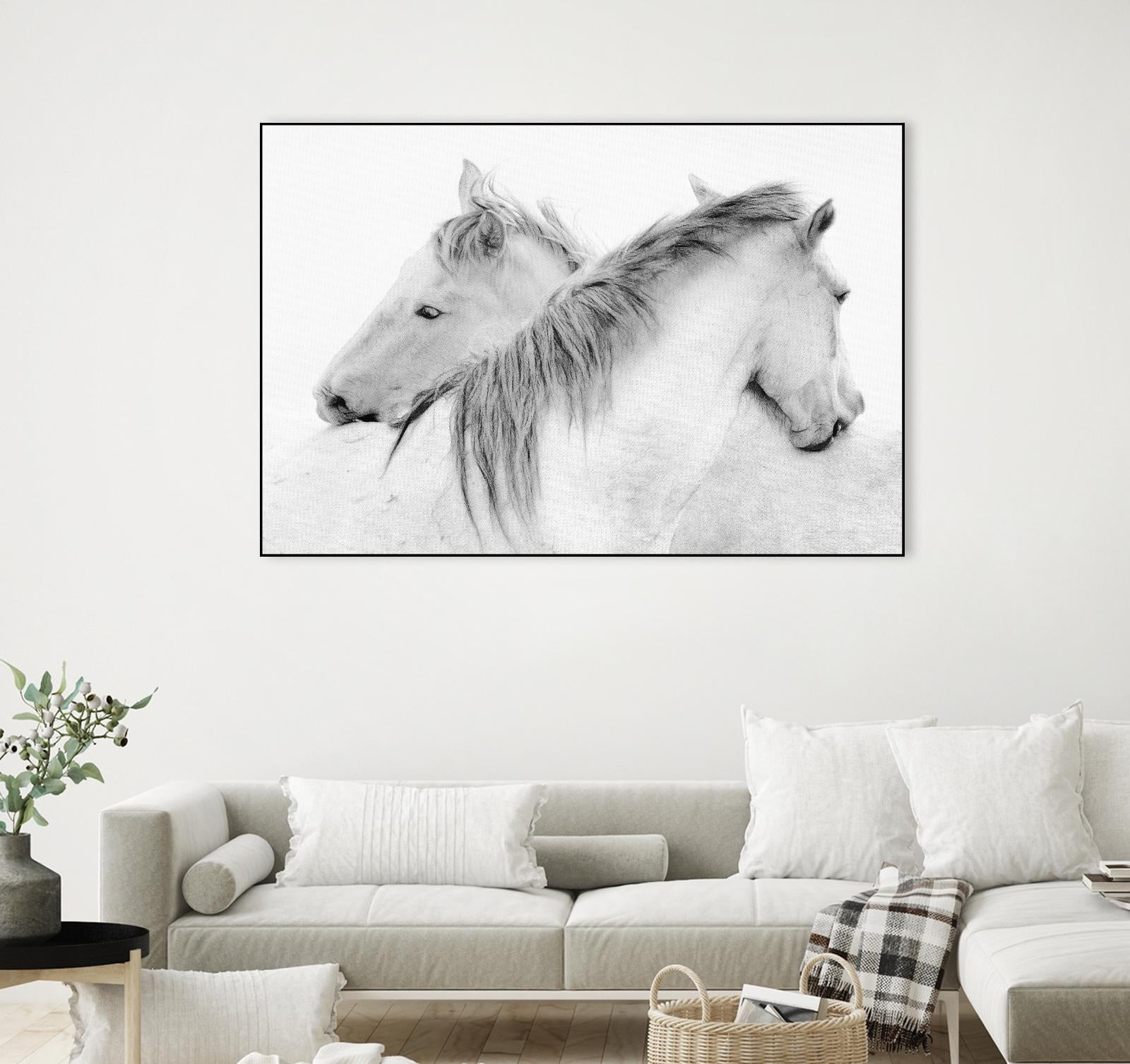 Stas - Horses by 1X on GIANT ART - white photo art