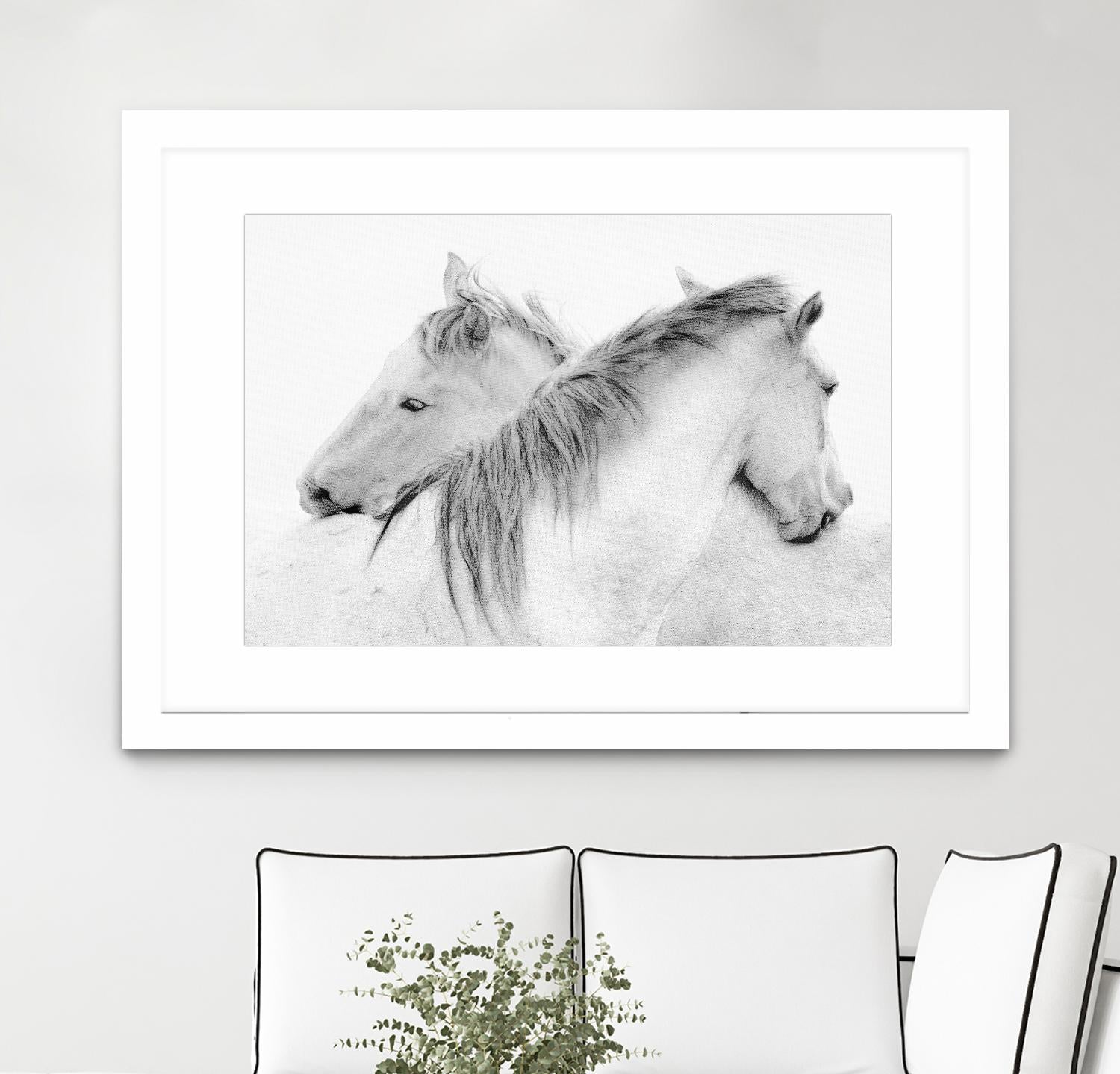 Stas - Horses by 1X on GIANT ART - white photo art