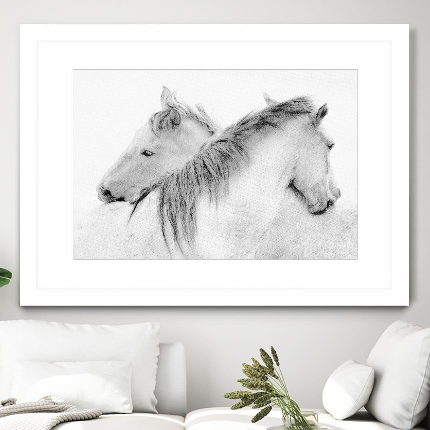 Stas - Horses by 1X on GIANT ART - white photo art