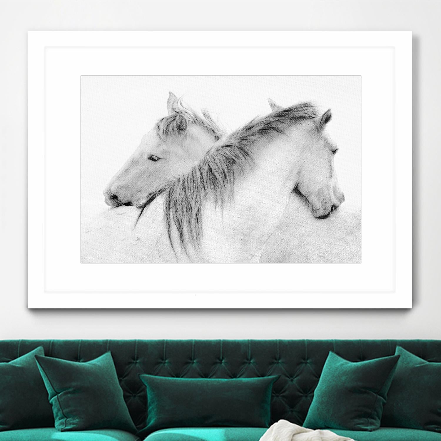 Stas - Horses by 1X on GIANT ART - white photo art
