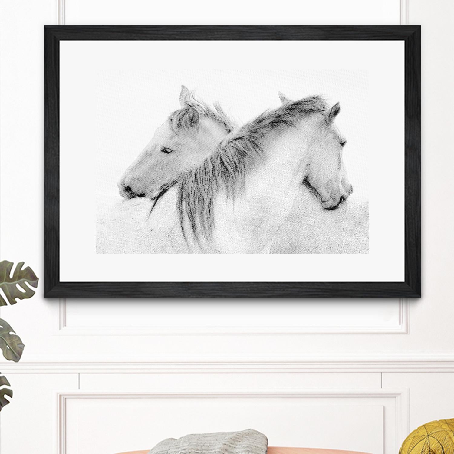 Stas - Horses by 1X on GIANT ART - white photo art