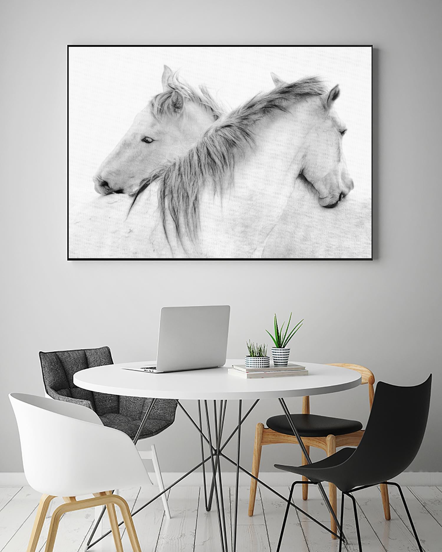 Stas - Horses by 1X on GIANT ART - white photo art