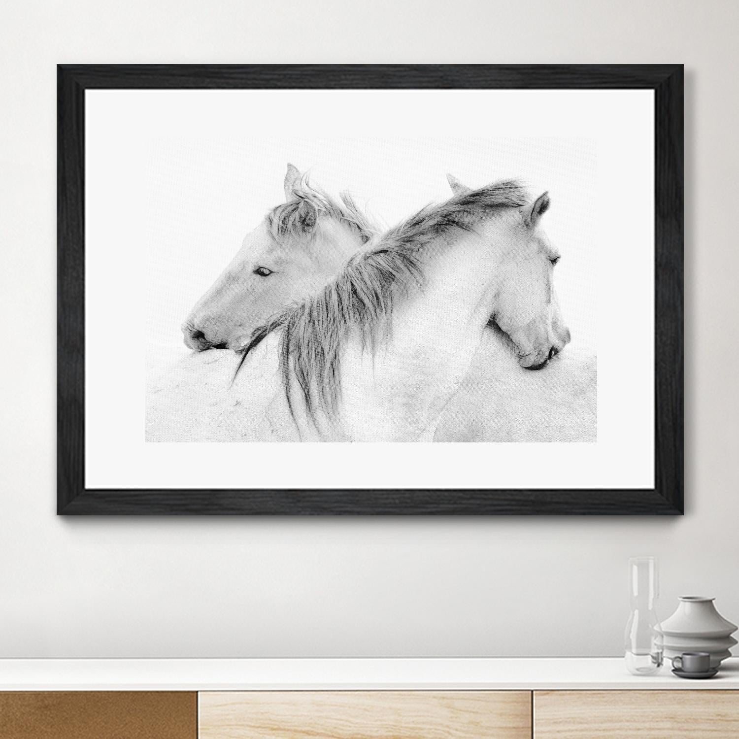 Stas - Horses by 1X on GIANT ART - white photo art