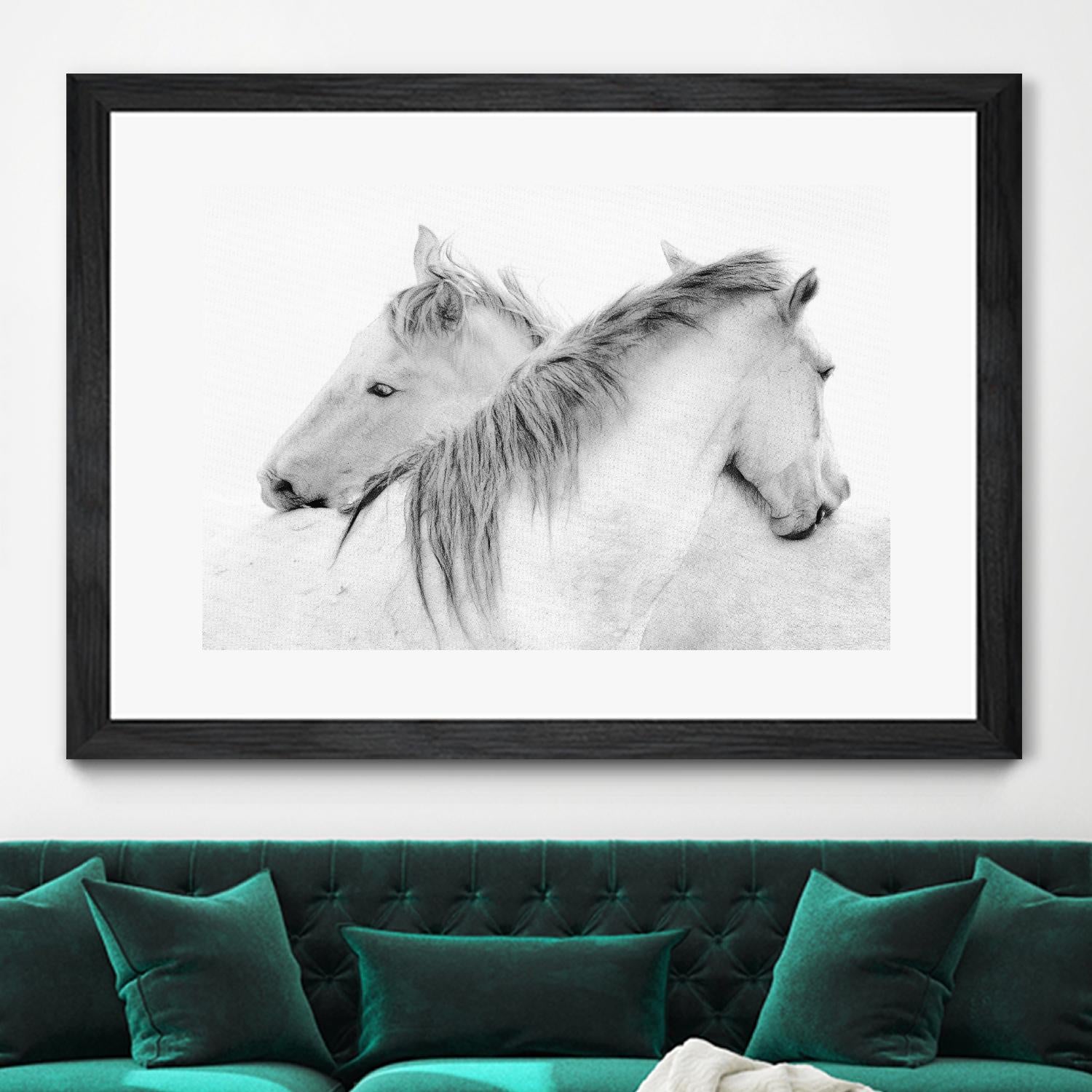 Stas - Horses by 1X on GIANT ART - white photo art