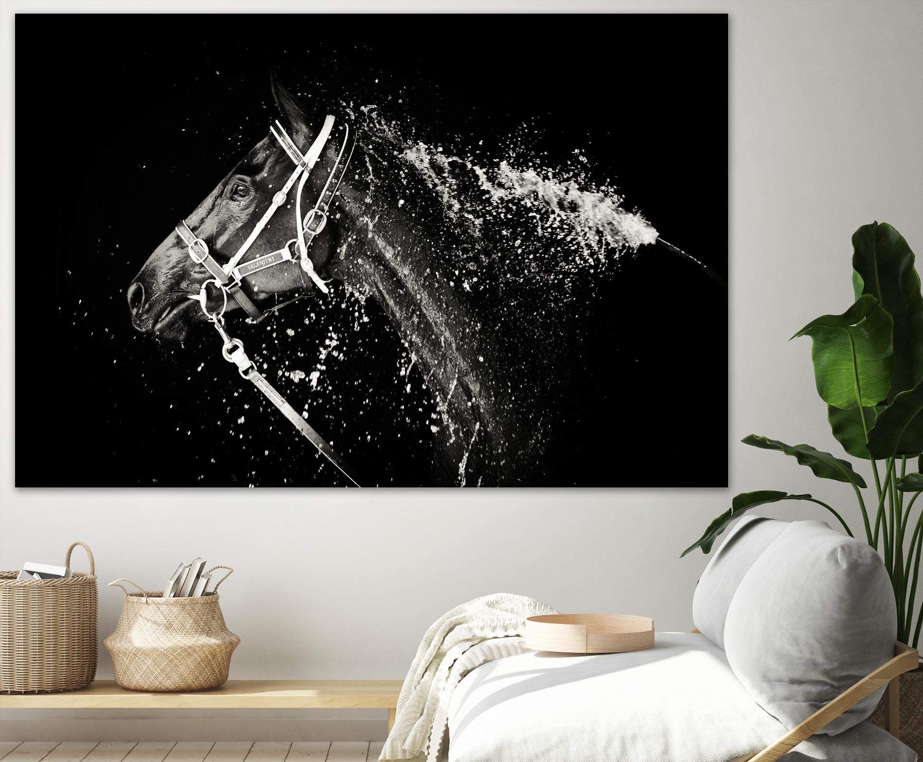 Lee Chapman - The Hose Down by 1X on GIANT ART - grey photo art