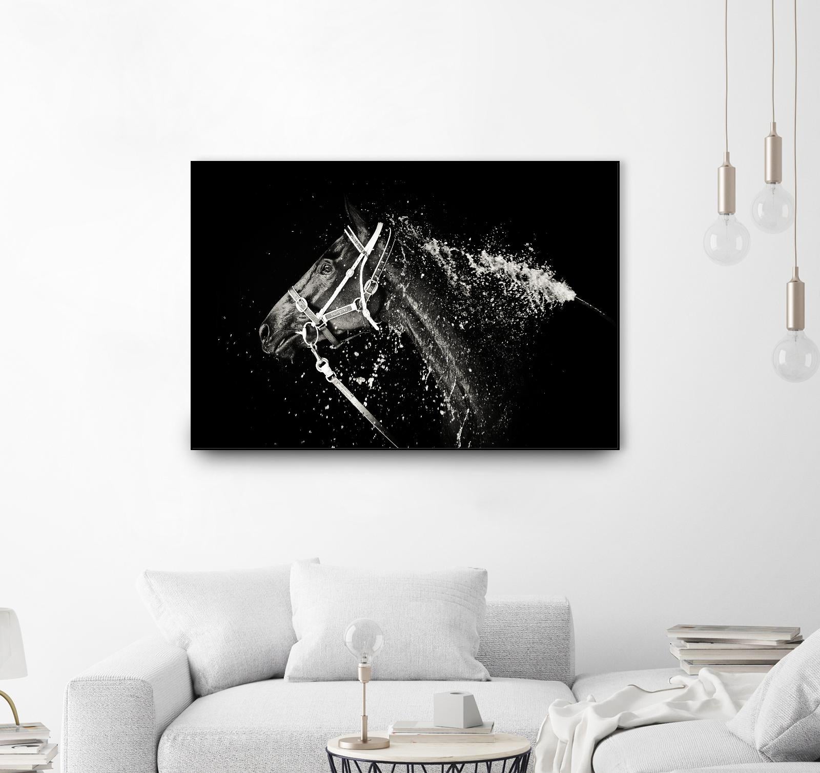 Lee Chapman - The Hose Down by 1X on GIANT ART - grey photo art