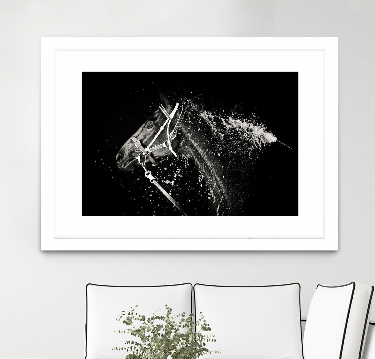 Lee Chapman - The Hose Down by 1X on GIANT ART - grey photo art