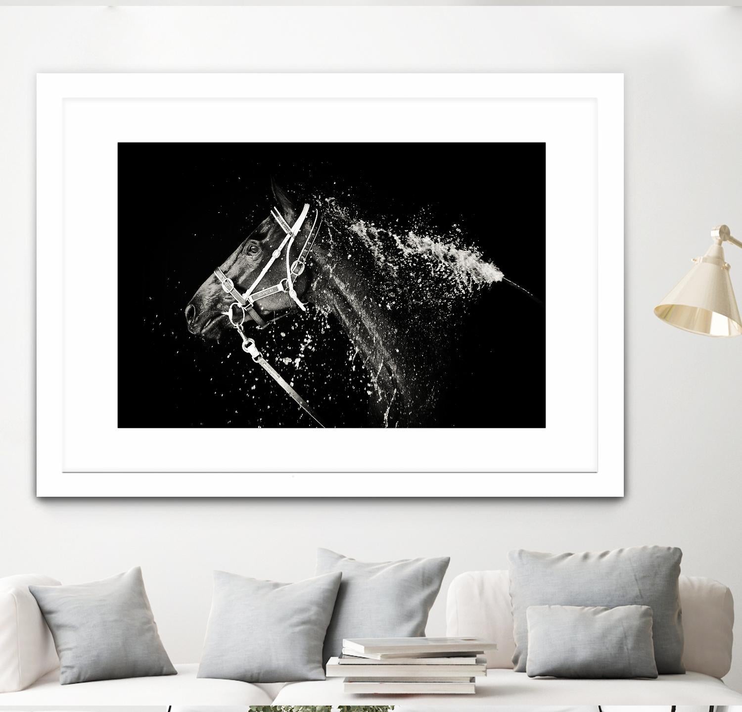 Lee Chapman - The Hose Down by 1X on GIANT ART - grey photo art