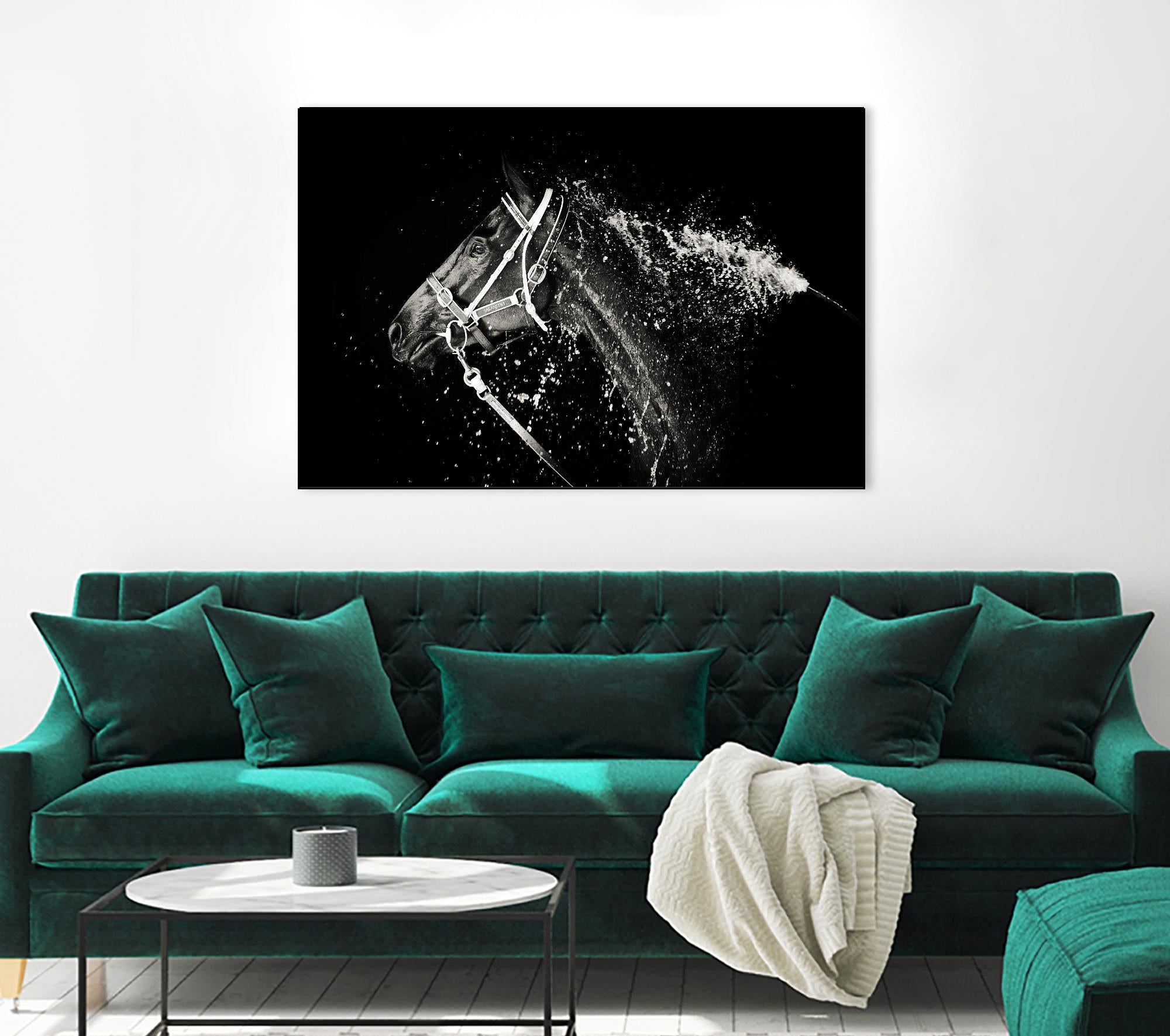 Lee Chapman - The Hose Down by 1X on GIANT ART - grey photo art