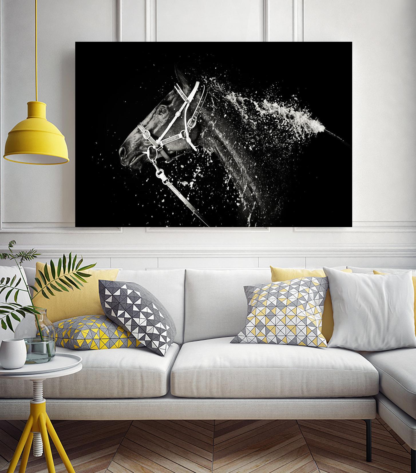 Lee Chapman - The Hose Down by 1X on GIANT ART - grey photo art