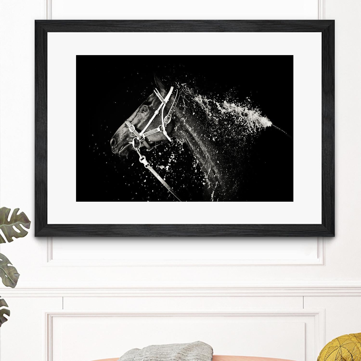 Lee Chapman - The Hose Down by 1X on GIANT ART - grey photo art