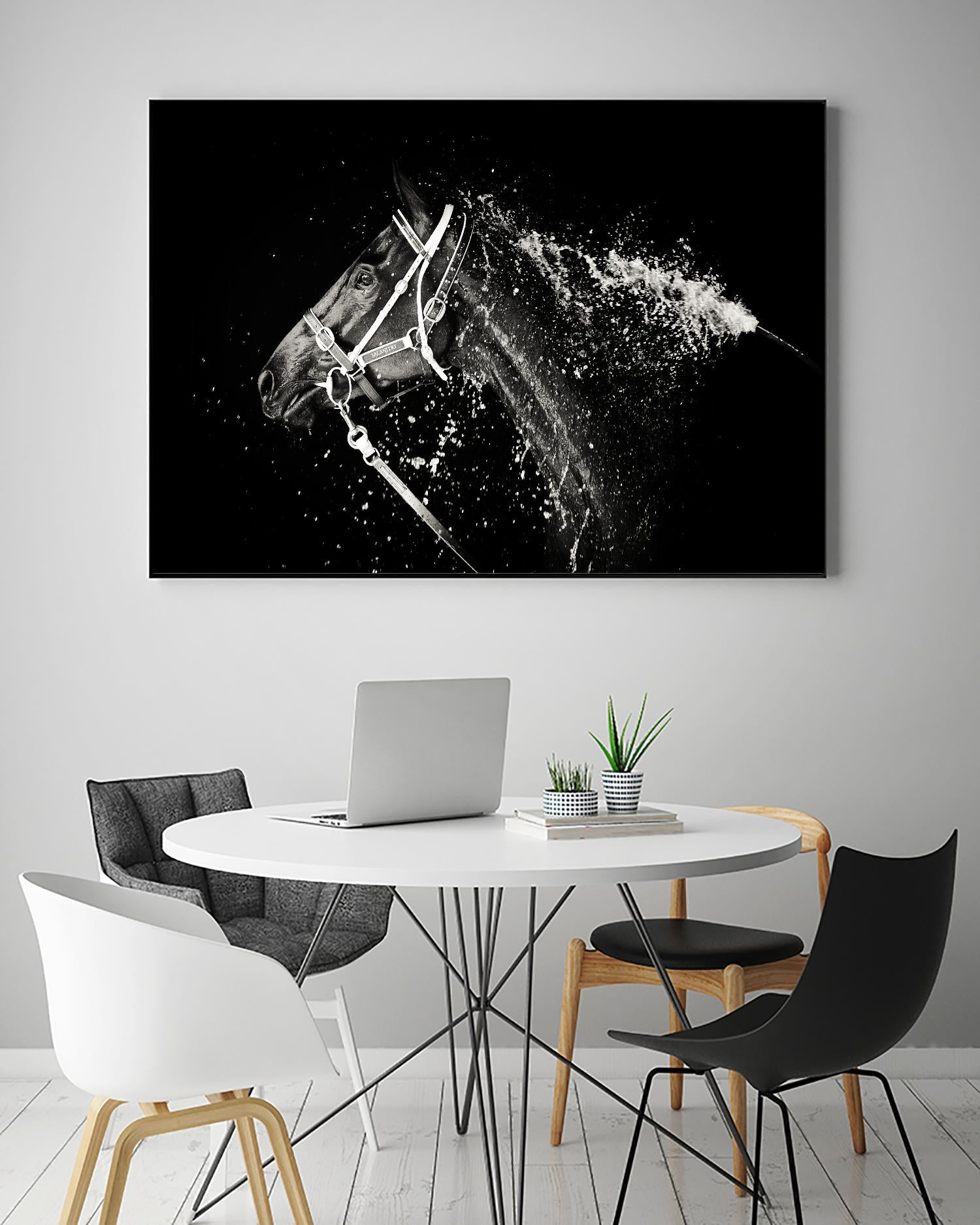 Lee Chapman - The Hose Down by 1X on GIANT ART - grey photo art