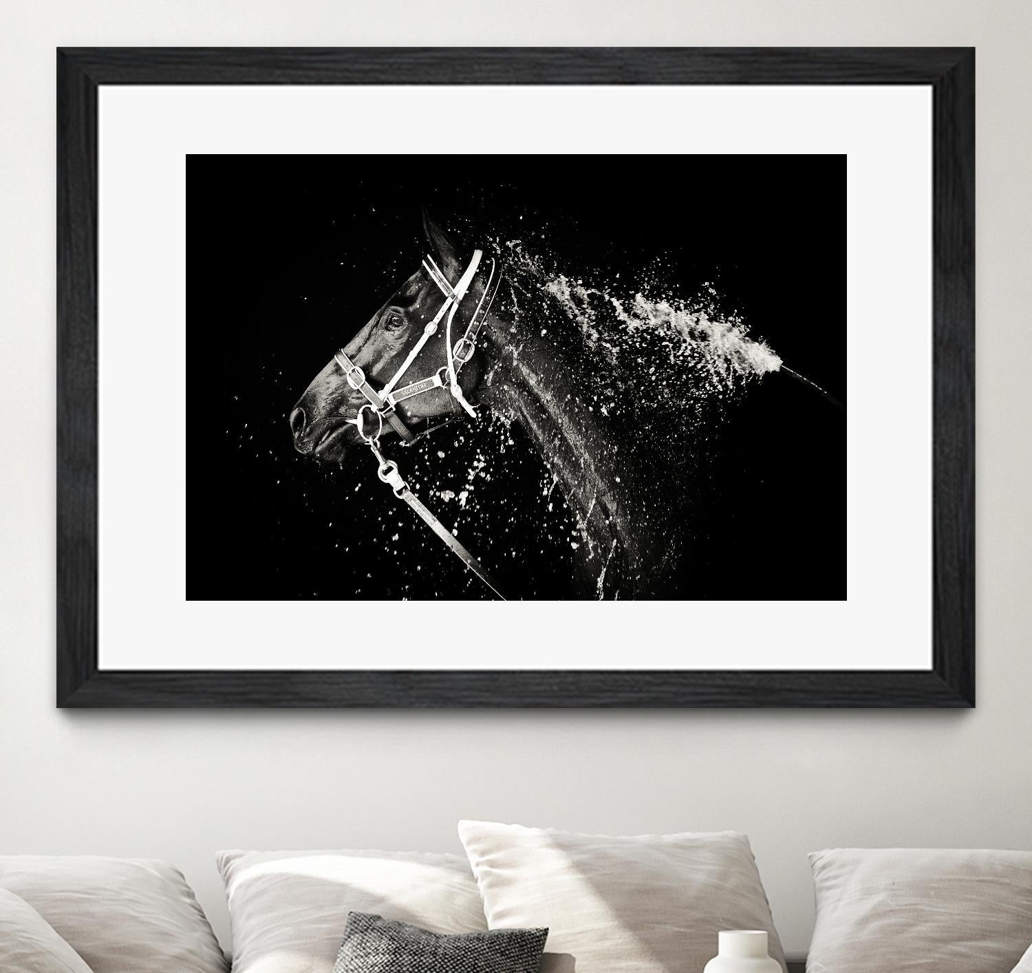 Lee Chapman - The Hose Down by 1X on GIANT ART - grey photo art