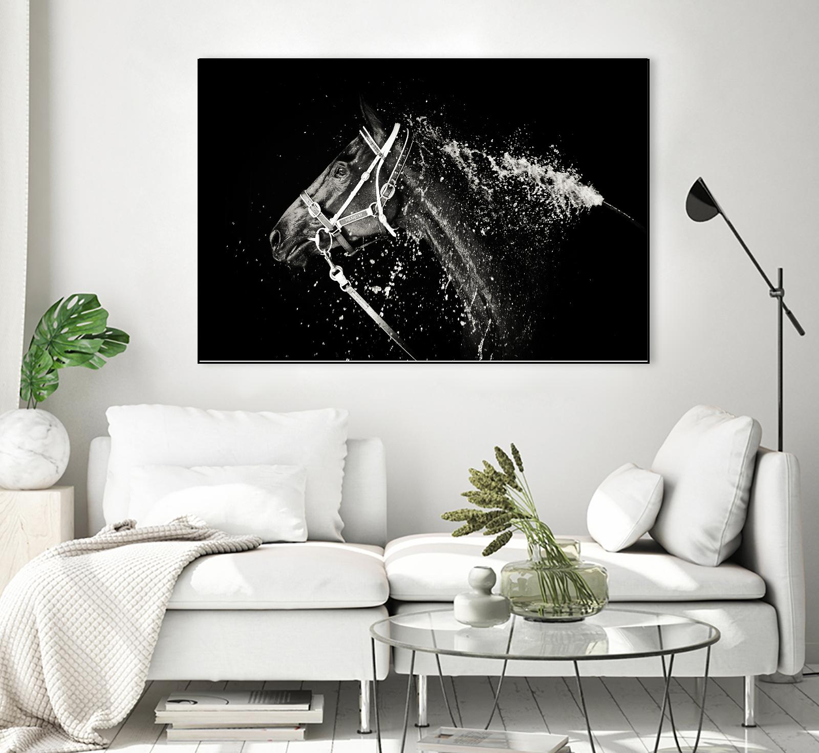 Lee Chapman - The Hose Down by 1X on GIANT ART - grey photo art