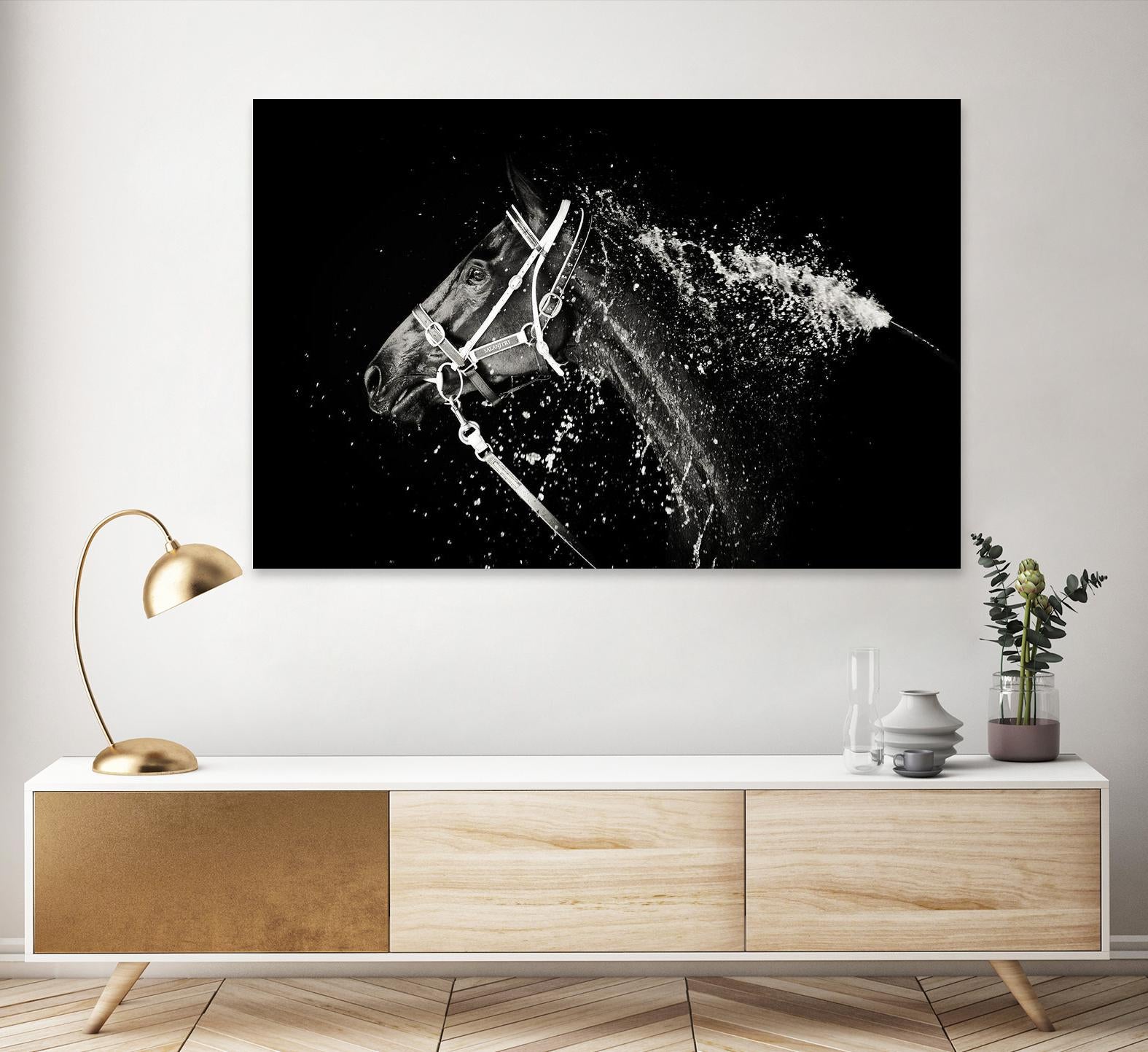 Lee Chapman - The Hose Down by 1X on GIANT ART - grey photo art