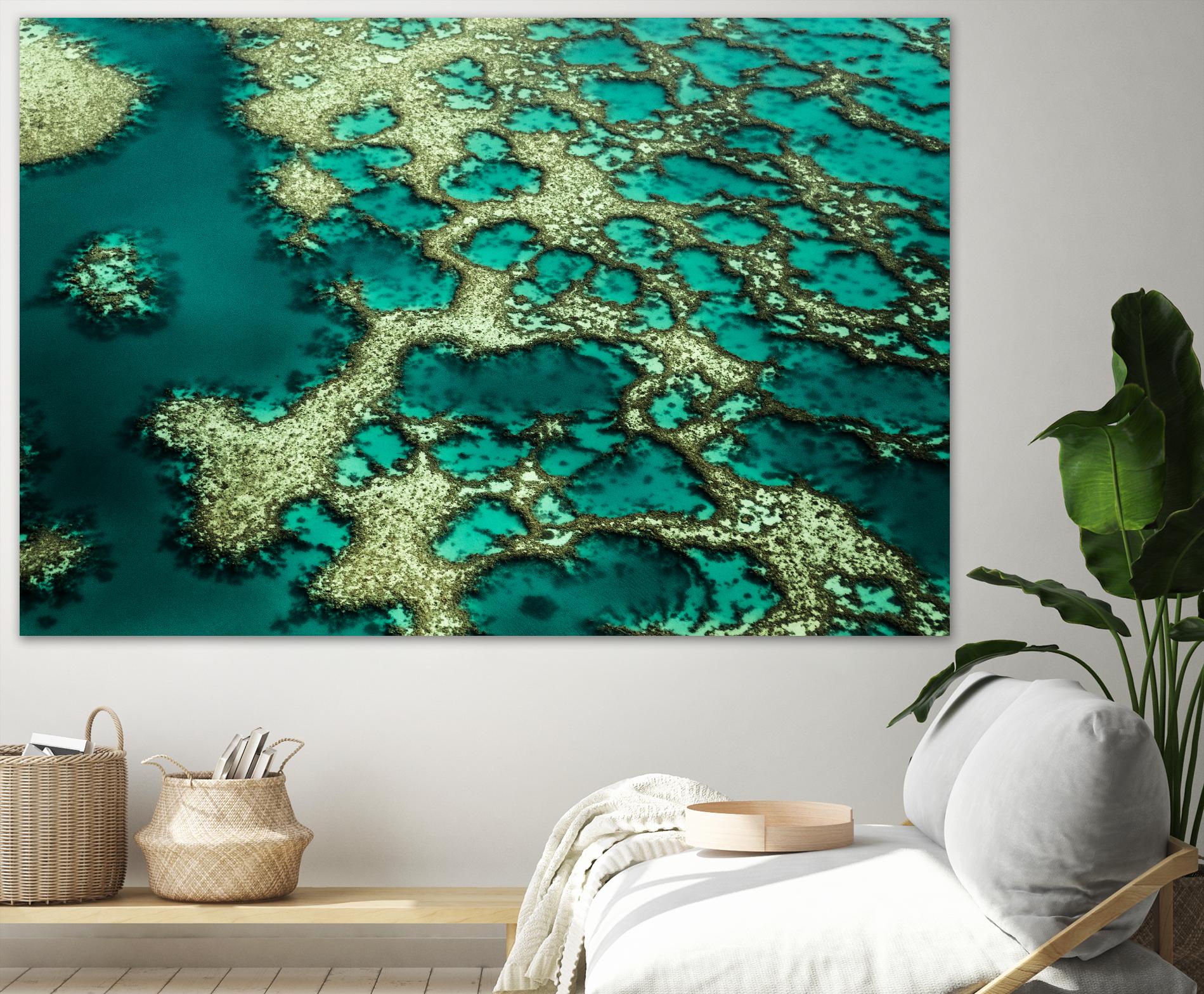 Wrobel - Gondwana by 1X on GIANT ART - green photo art