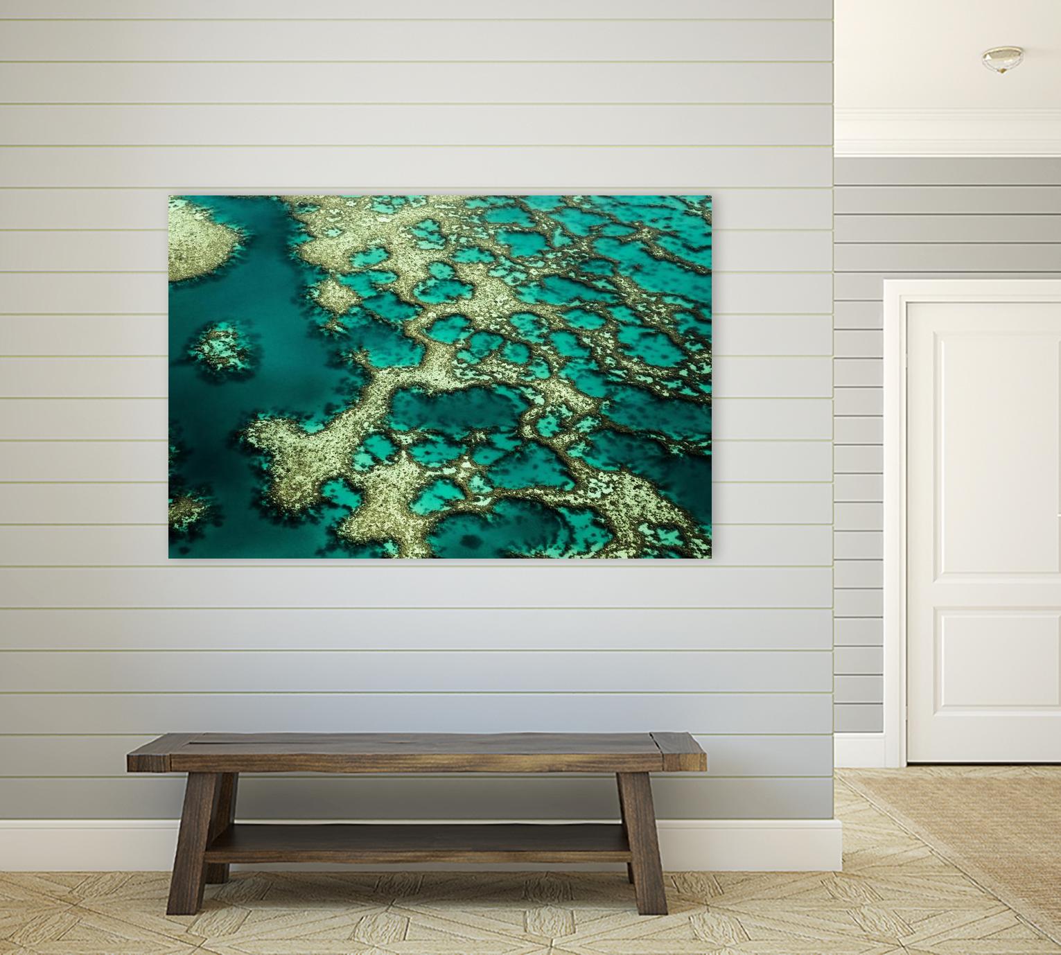 Wrobel - Gondwana by 1X on GIANT ART - green photo art