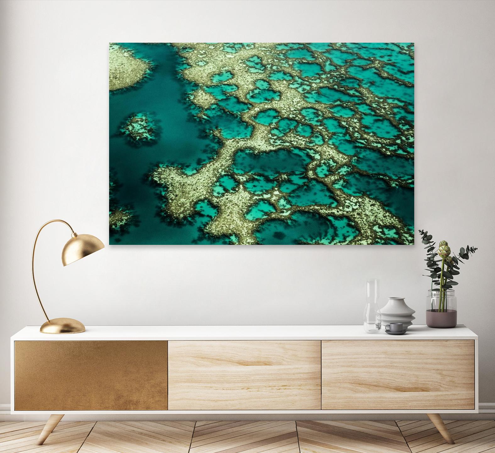 Wrobel - Gondwana by 1X on GIANT ART - green photo art