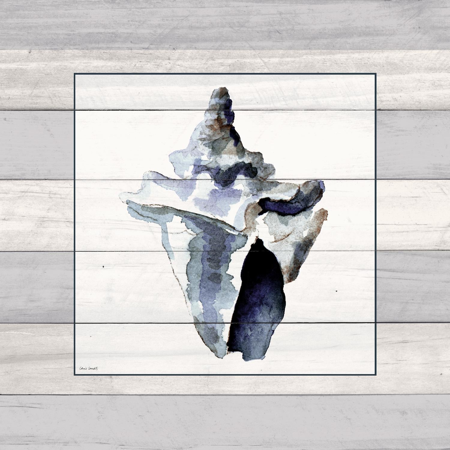 Muted Blue Sea Conch On Wood by Lanie Loreth on GIANT ART - coastal