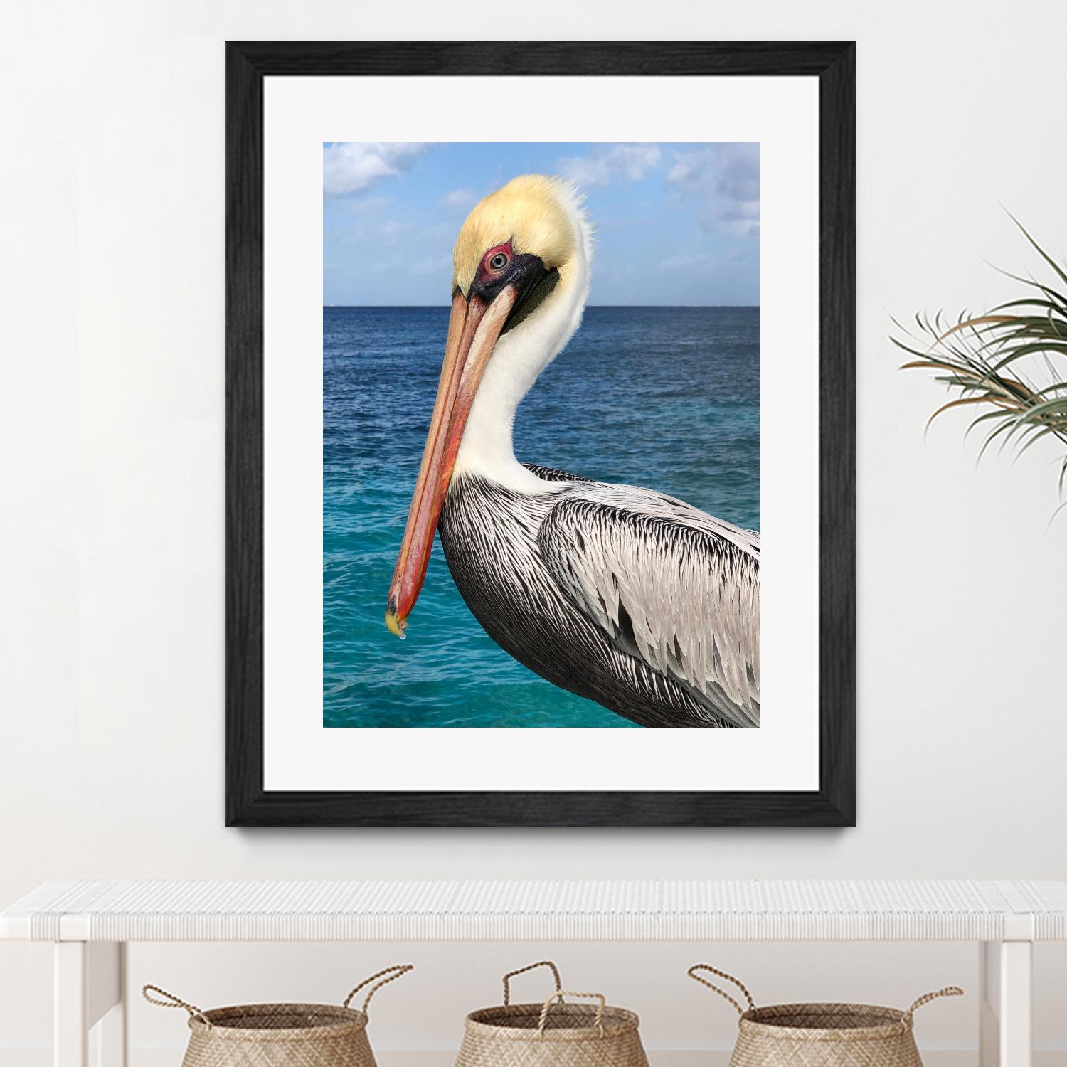 Pelican by Julie DeRice on GIANT ART - coastal photography