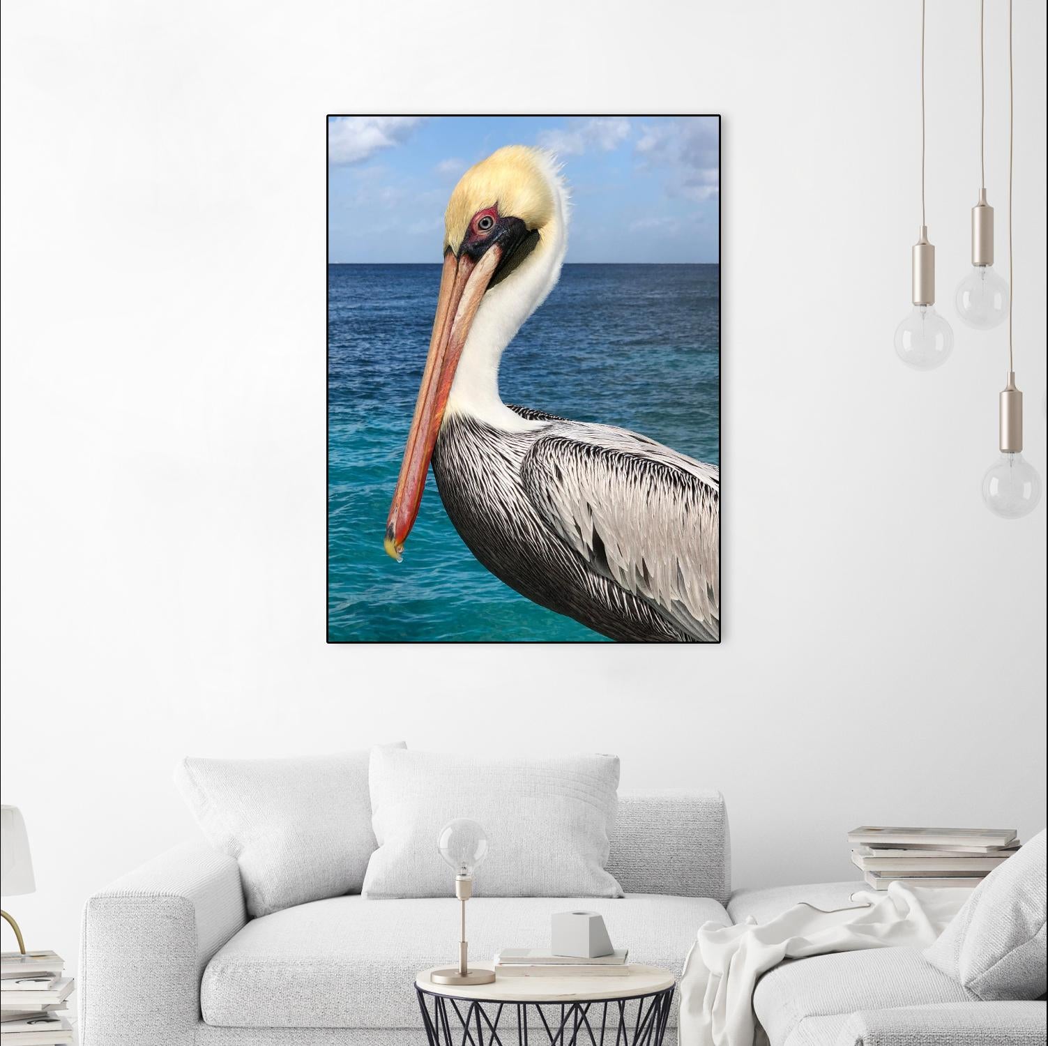 Pelican by Julie DeRice on GIANT ART - coastal photography