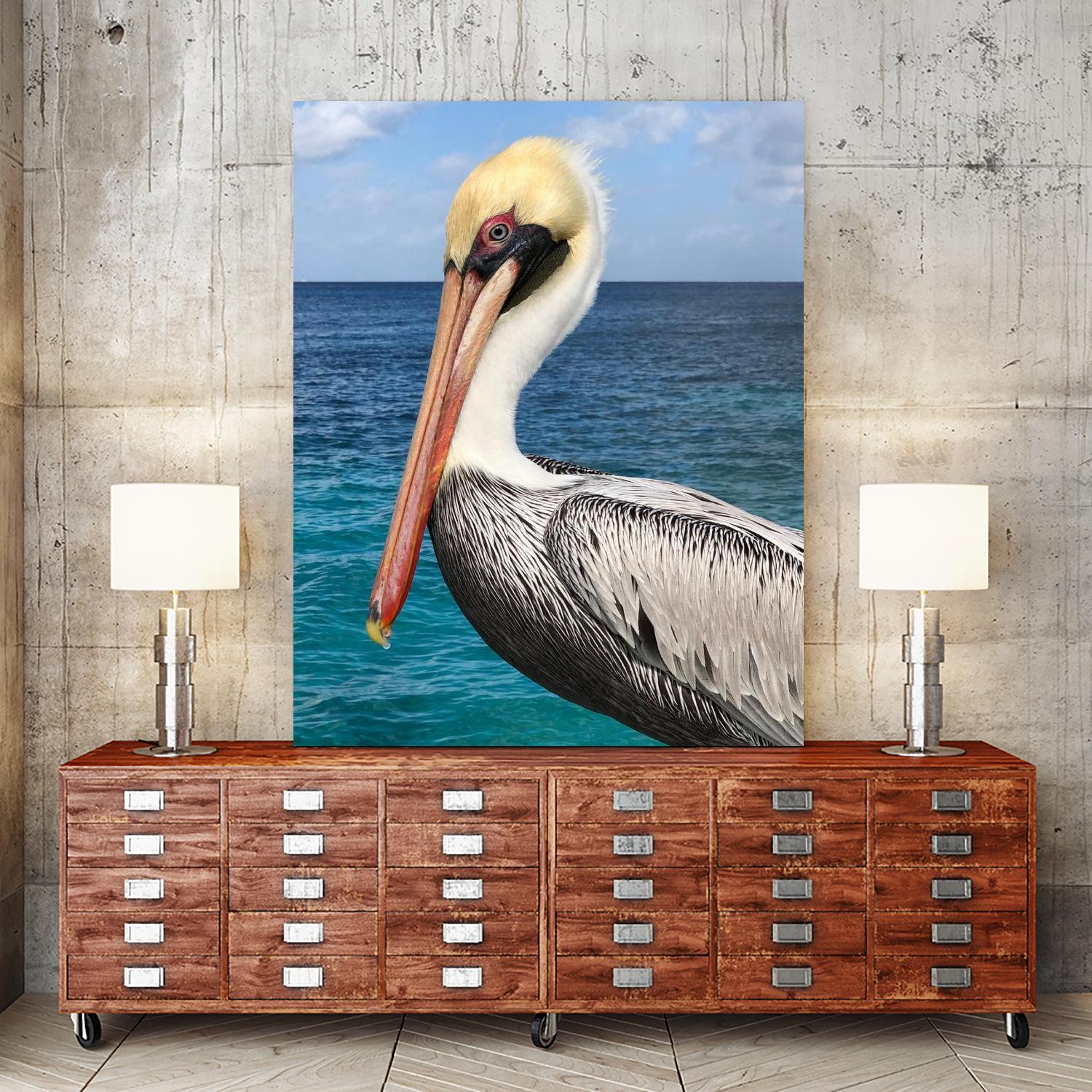 Pelican by Julie DeRice on GIANT ART - coastal photography