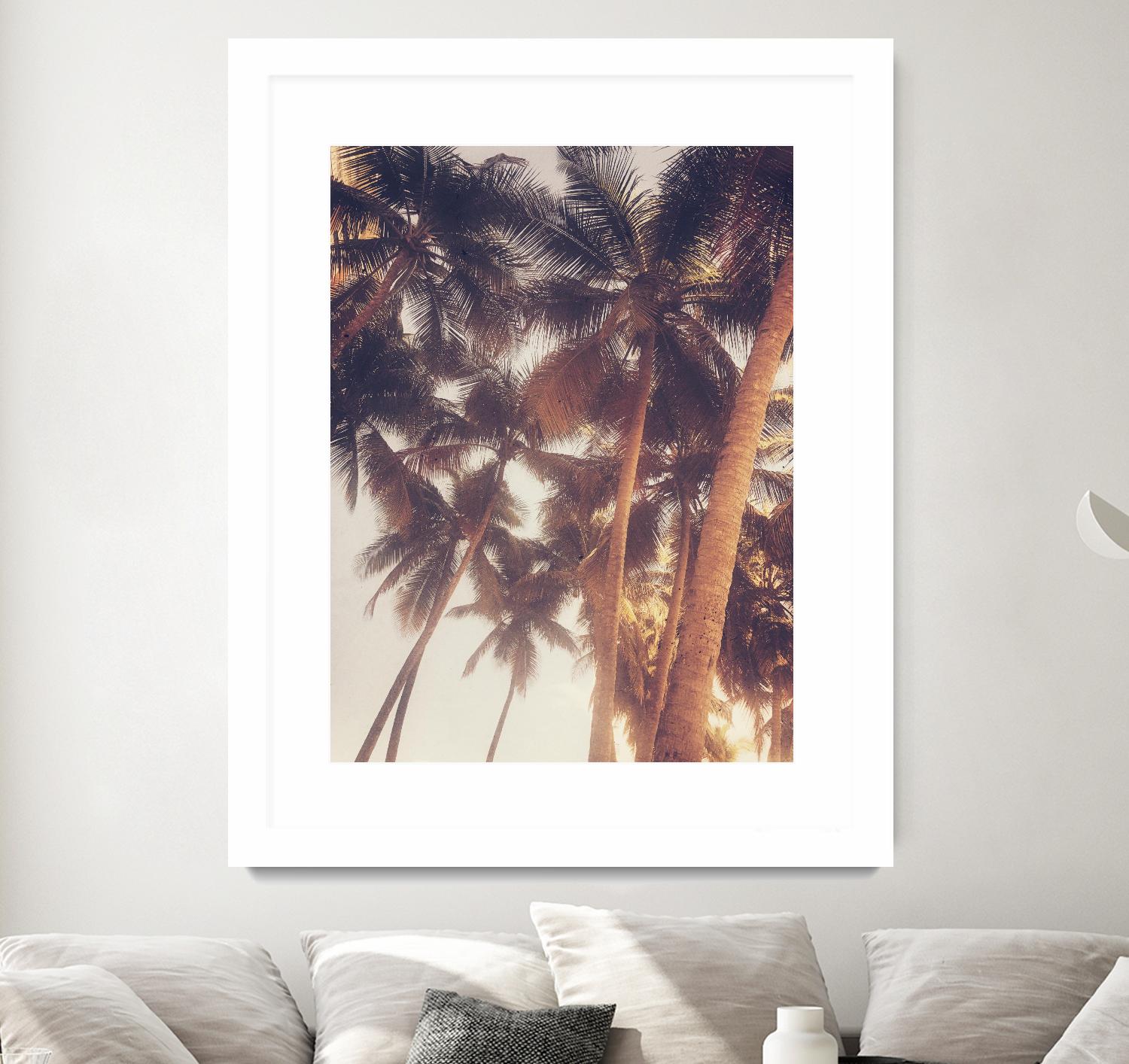 Vintage Palms by Acosta on GIANT ART - photography coastal