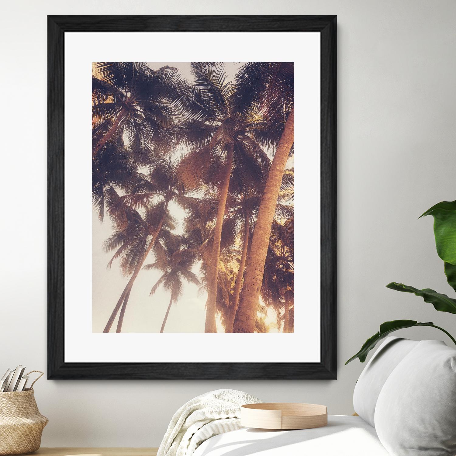 Vintage Palms by Acosta on GIANT ART - photography coastal