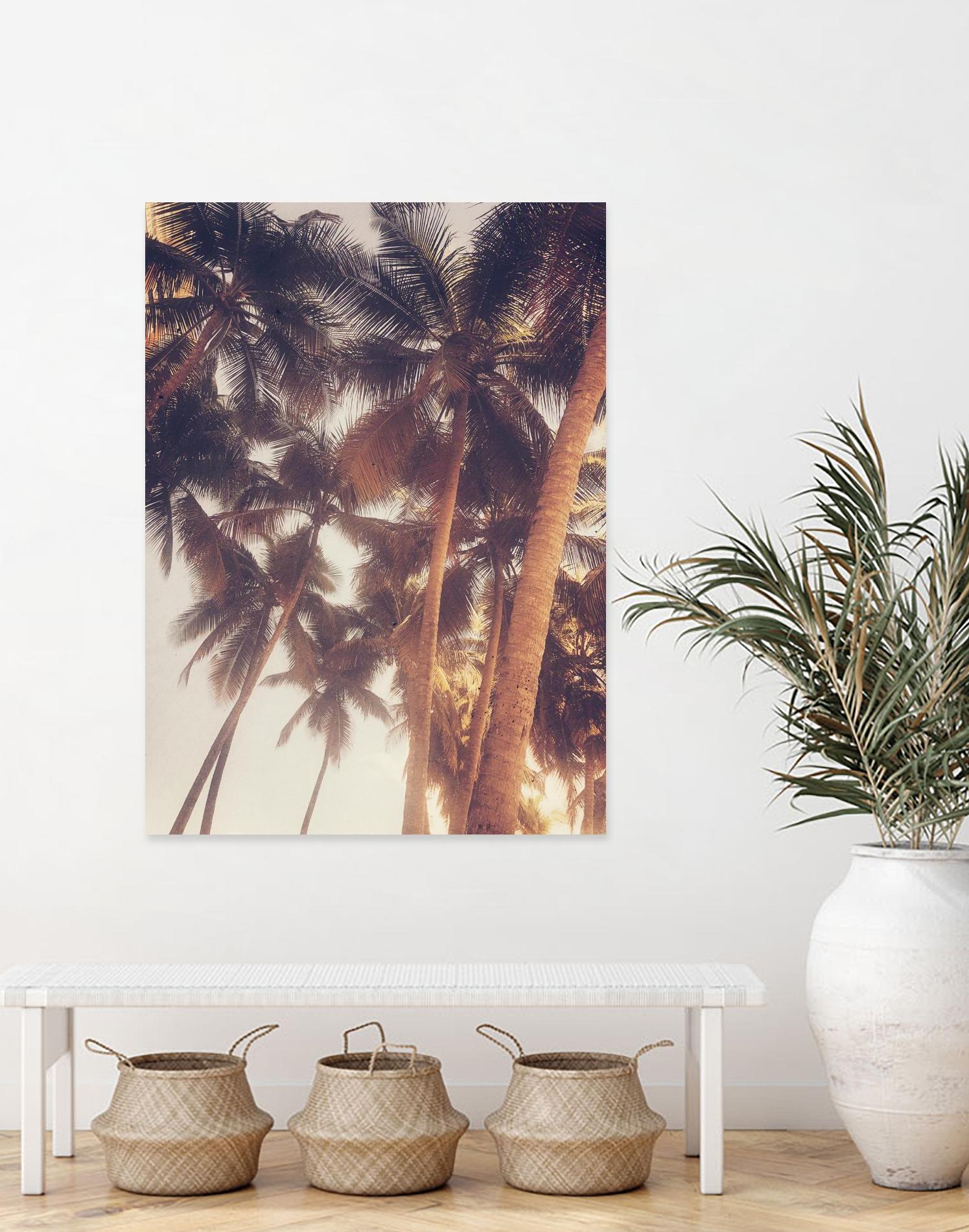 Vintage Palms by Acosta on GIANT ART - photography coastal