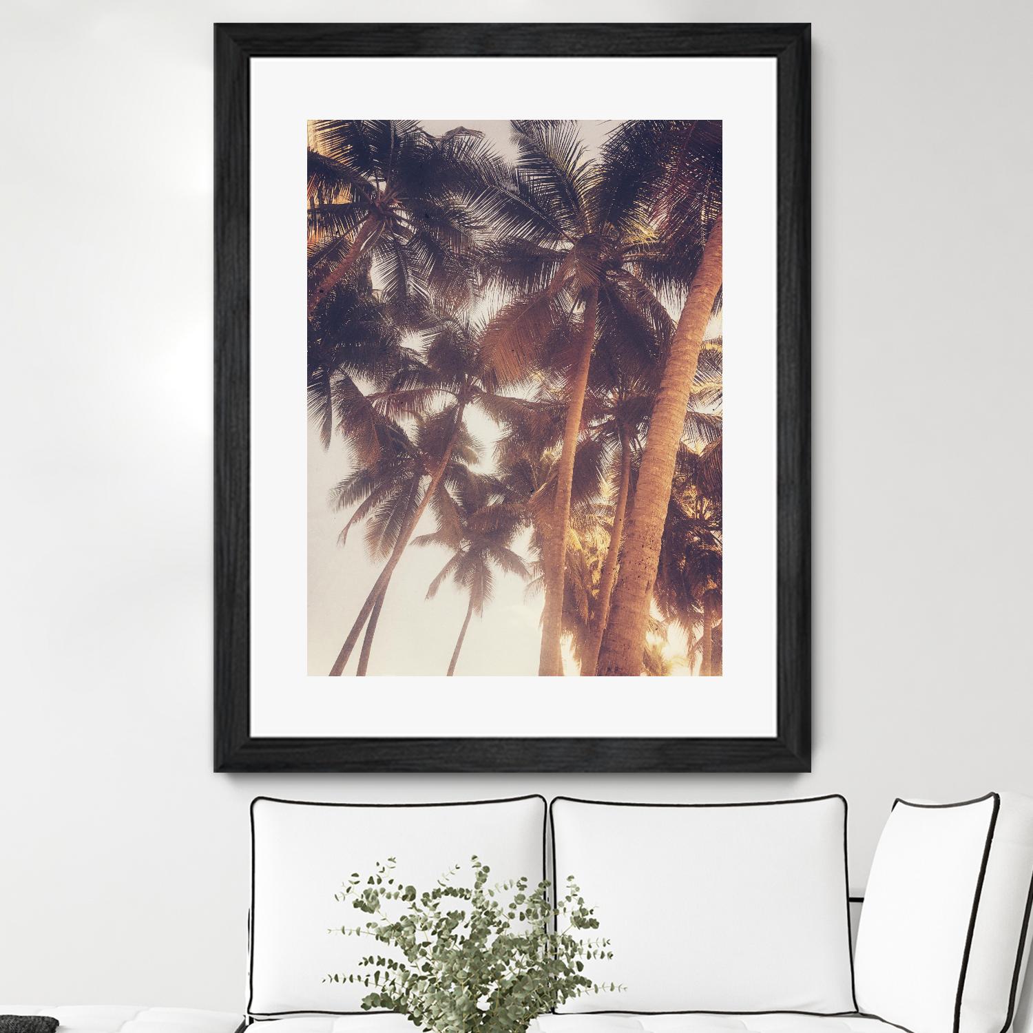 Vintage Palms by Acosta on GIANT ART - photography coastal