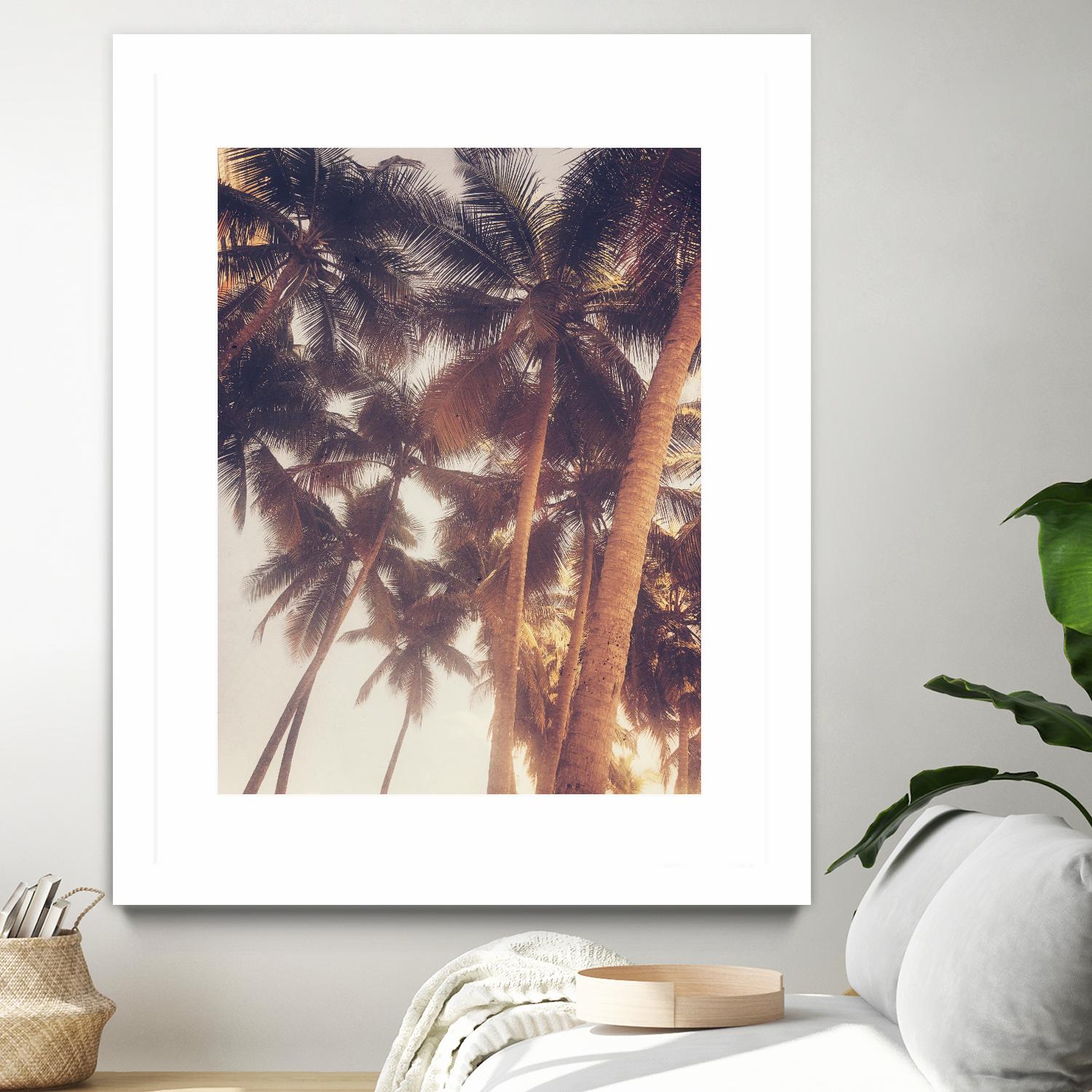 Vintage Palms by Acosta on GIANT ART - photography coastal