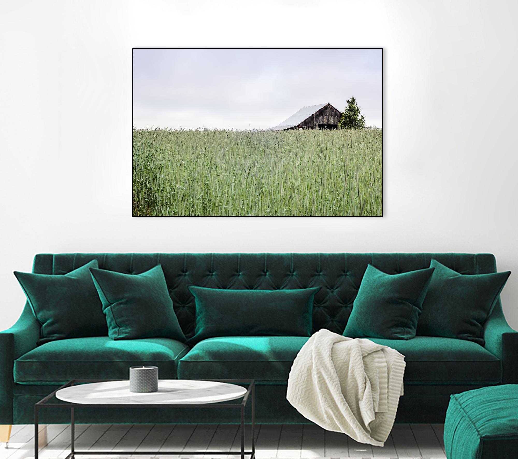 Summer Feel by Nancy Crowell on GIANT ART - grey photo art