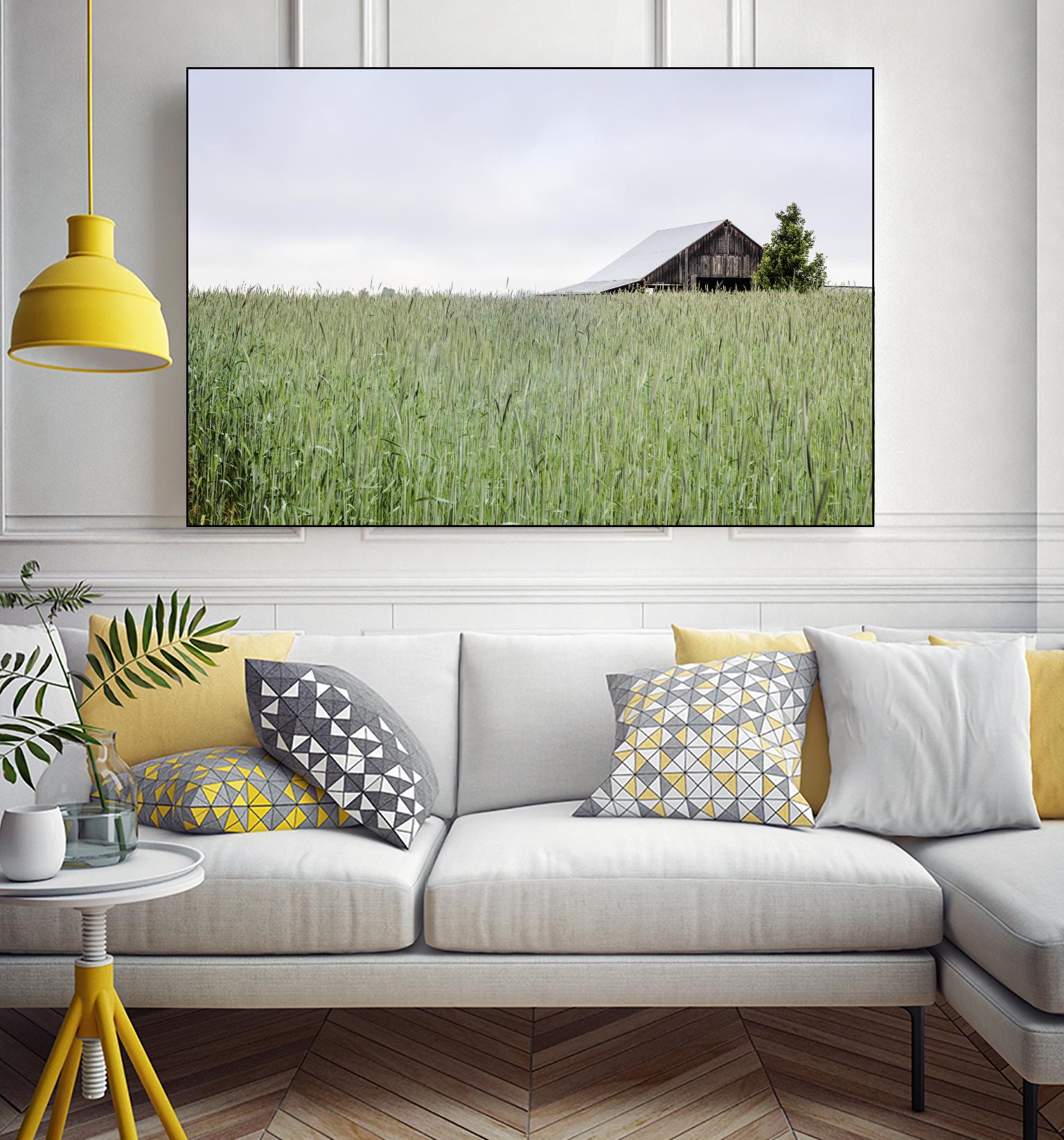 Summer Feel by Nancy Crowell on GIANT ART - grey photo art