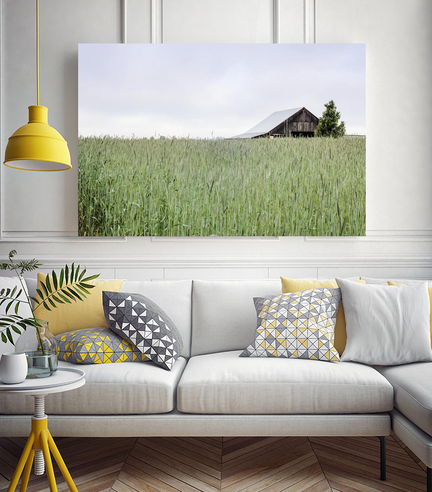 Summer Feel by Nancy Crowell on GIANT ART - grey photo art