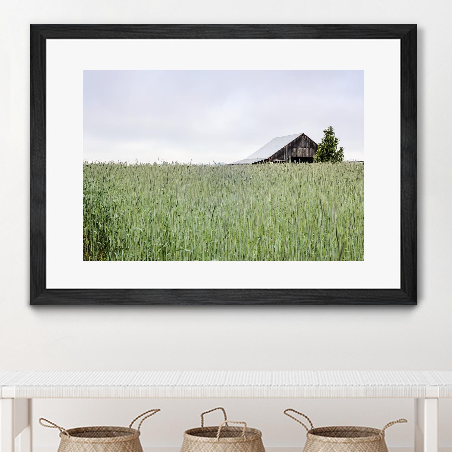 Summer Feel by Nancy Crowell on GIANT ART - grey photo art