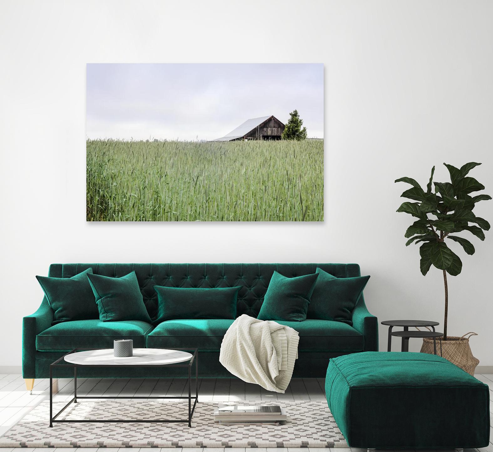 Summer Feel by Nancy Crowell on GIANT ART - grey photo art