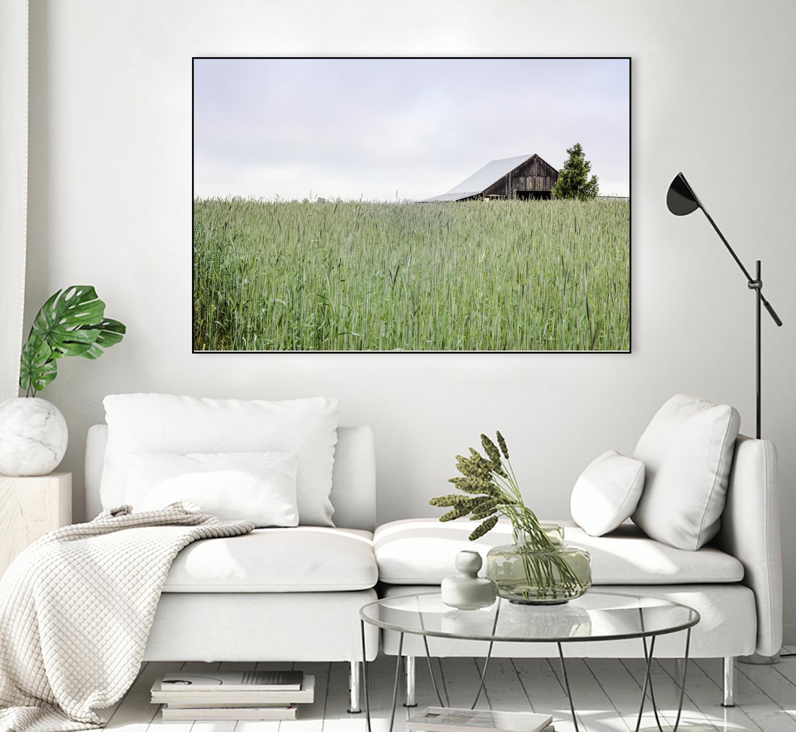 Summer Feel by Nancy Crowell on GIANT ART - grey photo art
