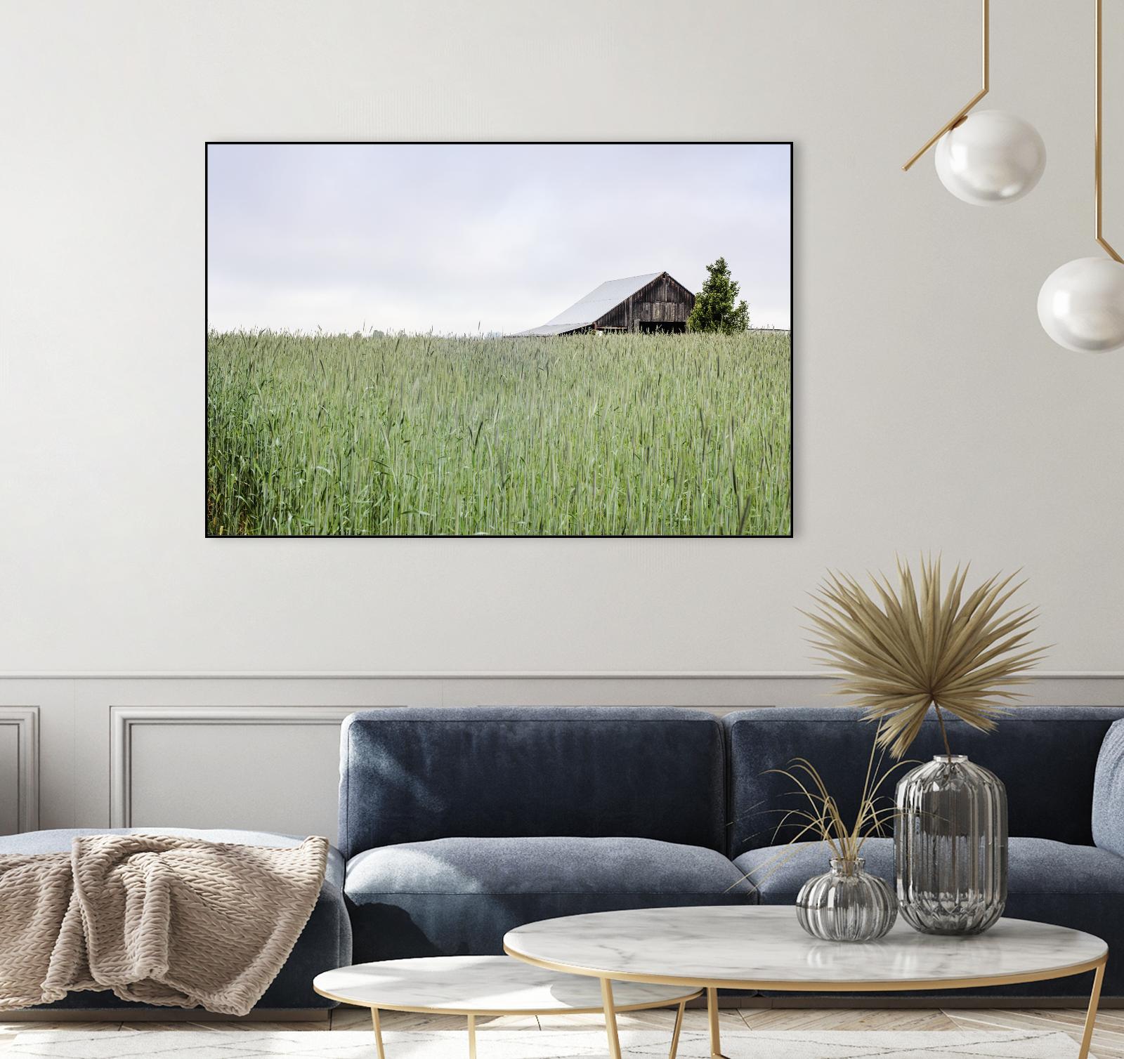 Summer Feel by Nancy Crowell on GIANT ART - grey photo art