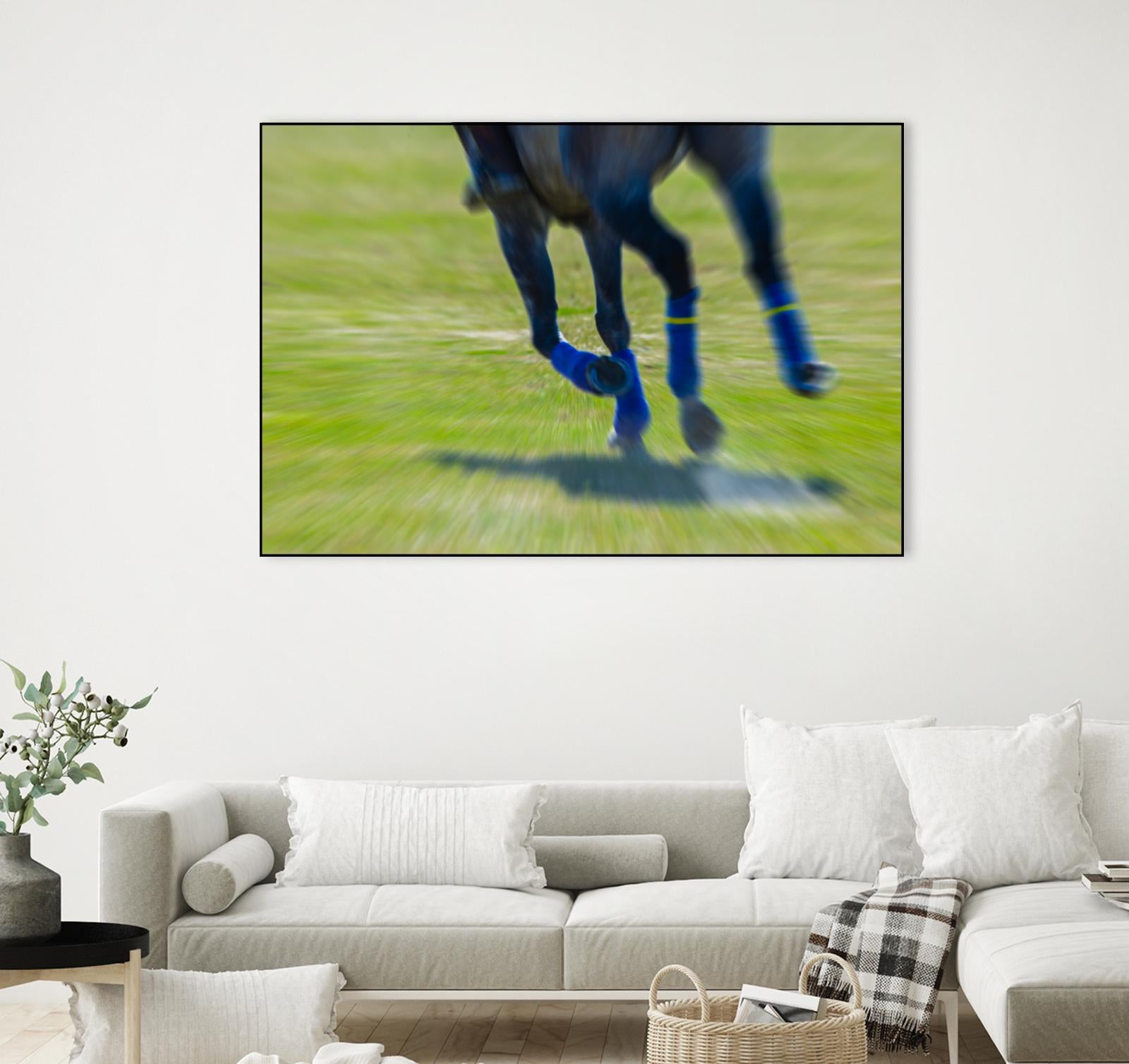 Photograph 2 by Nancy Crowell on GIANT ART - brown animals