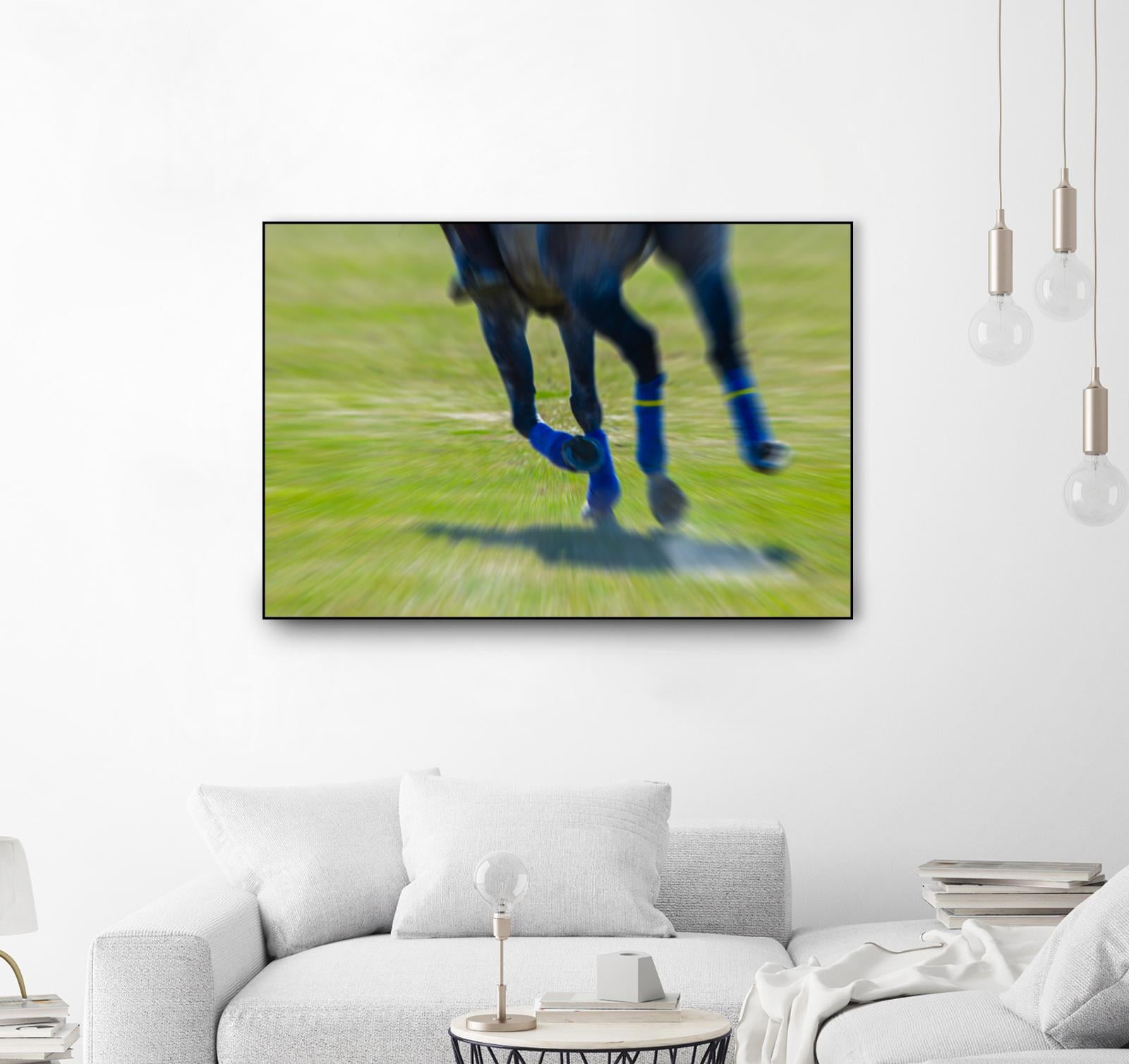 Photograph 2 by Nancy Crowell on GIANT ART - brown animals