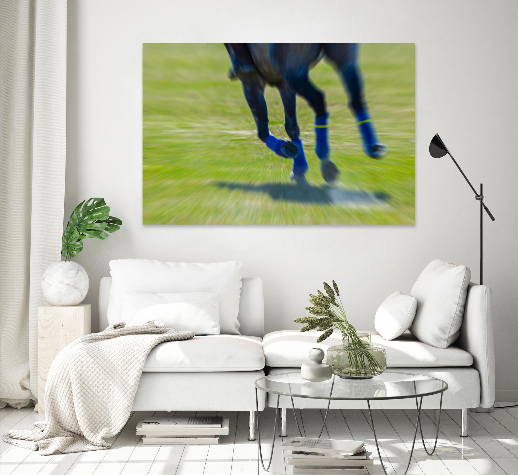 Photograph 2 by Nancy Crowell on GIANT ART - green animals horse