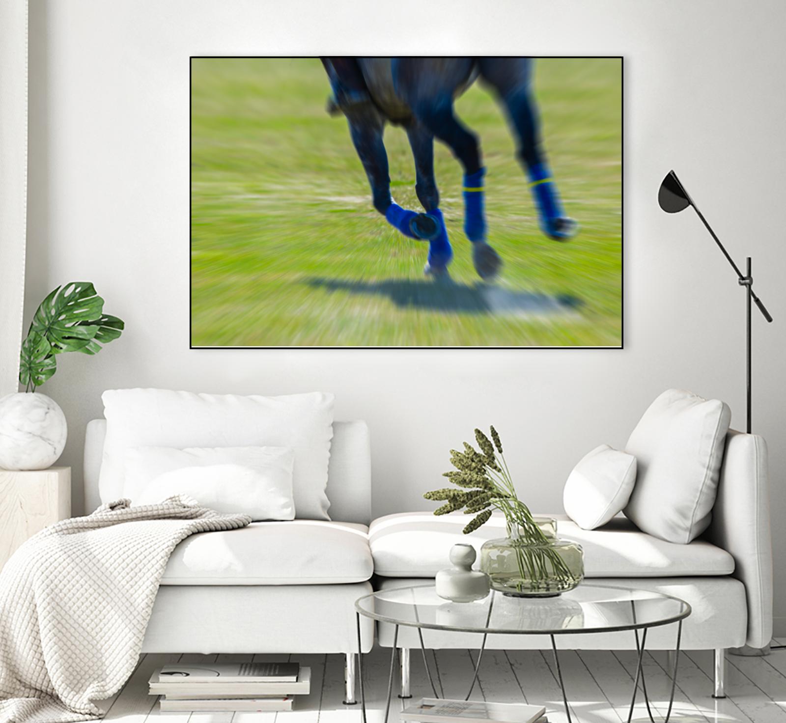 Photograph 2 by Nancy Crowell on GIANT ART - brown animals