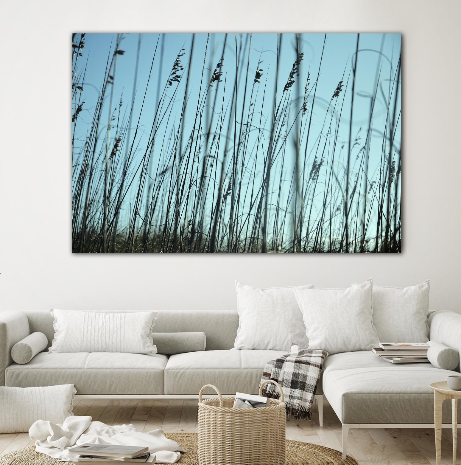 Whispers by Lori Prenner on GIANT ART - beige photo art