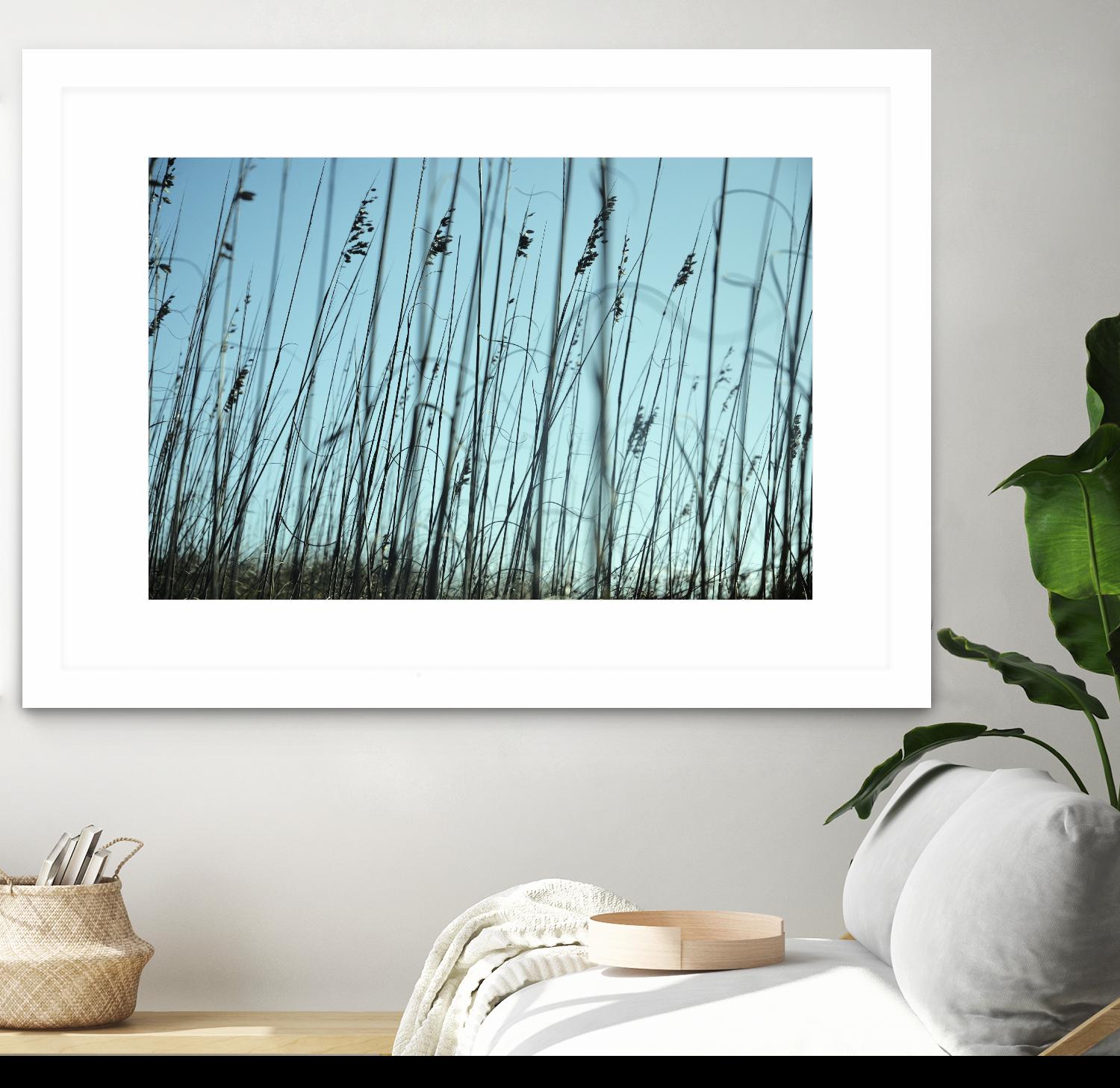 Whispers by Lori Prenner on GIANT ART - beige photo art