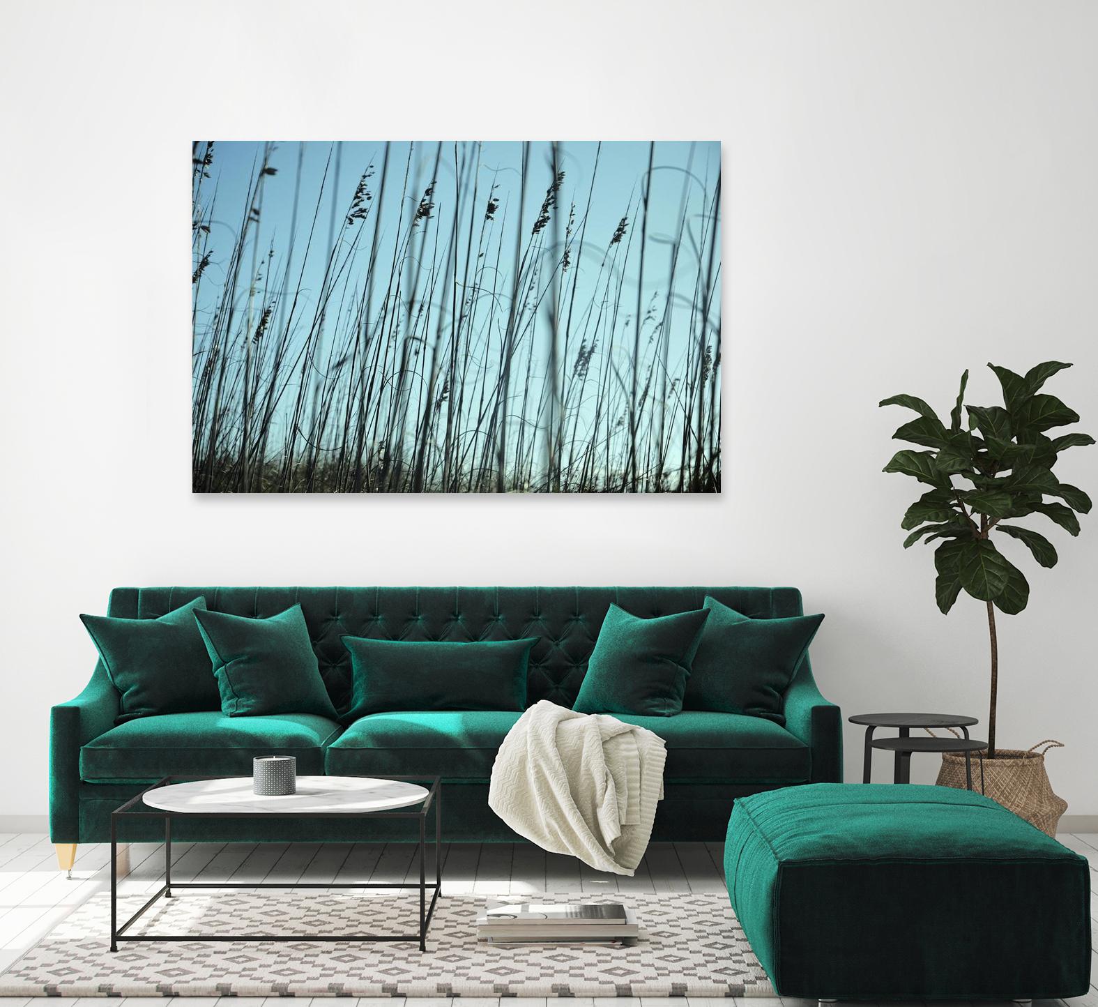Whispers by Lori Prenner on GIANT ART - beige photo art