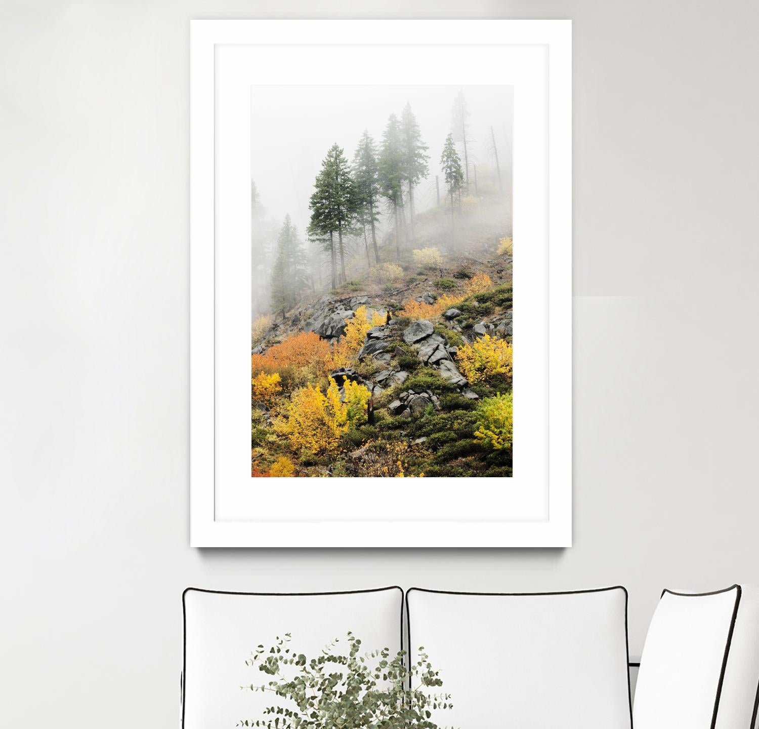 Photograph 8 by Aaron Matheson on GIANT ART - green landscape