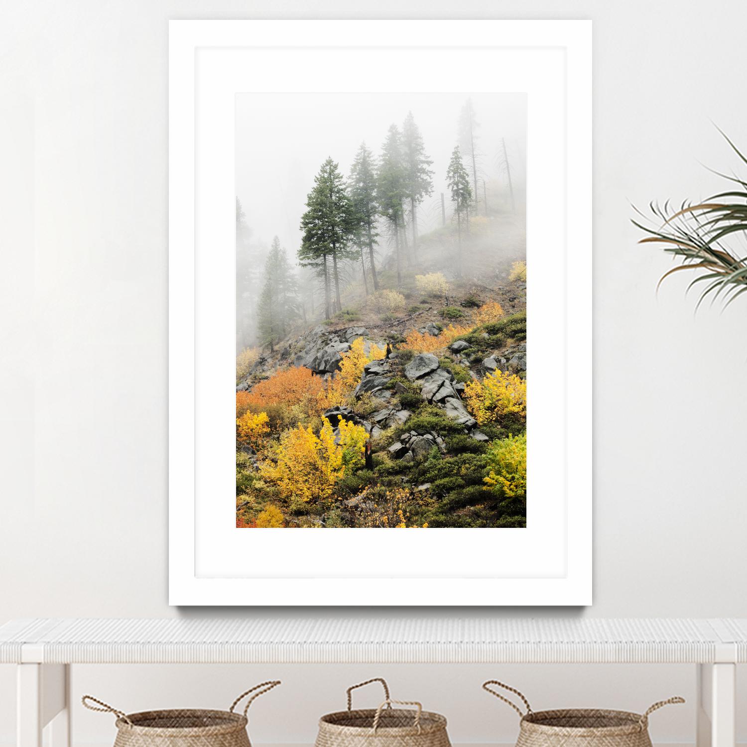 Photograph 8 by Aaron Matheson on GIANT ART - green landscape