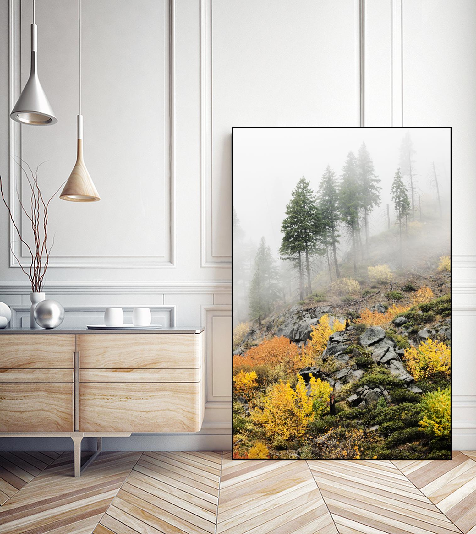 Photograph 8 by Aaron Matheson on GIANT ART - green landscape