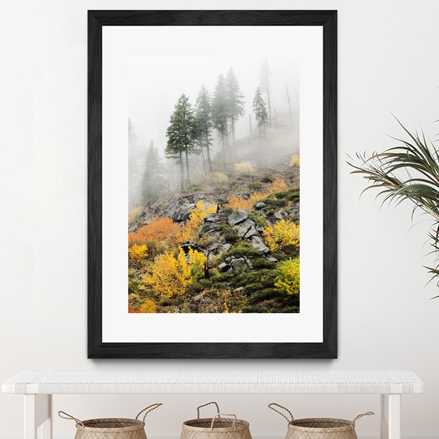 Photograph 8 by Aaron Matheson on GIANT ART - green landscape